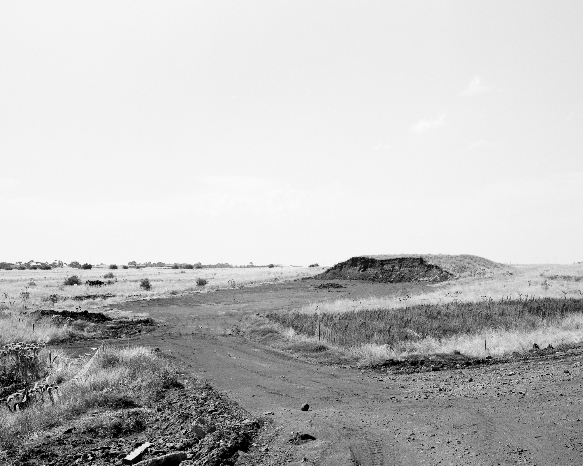 linear-7.jpg
