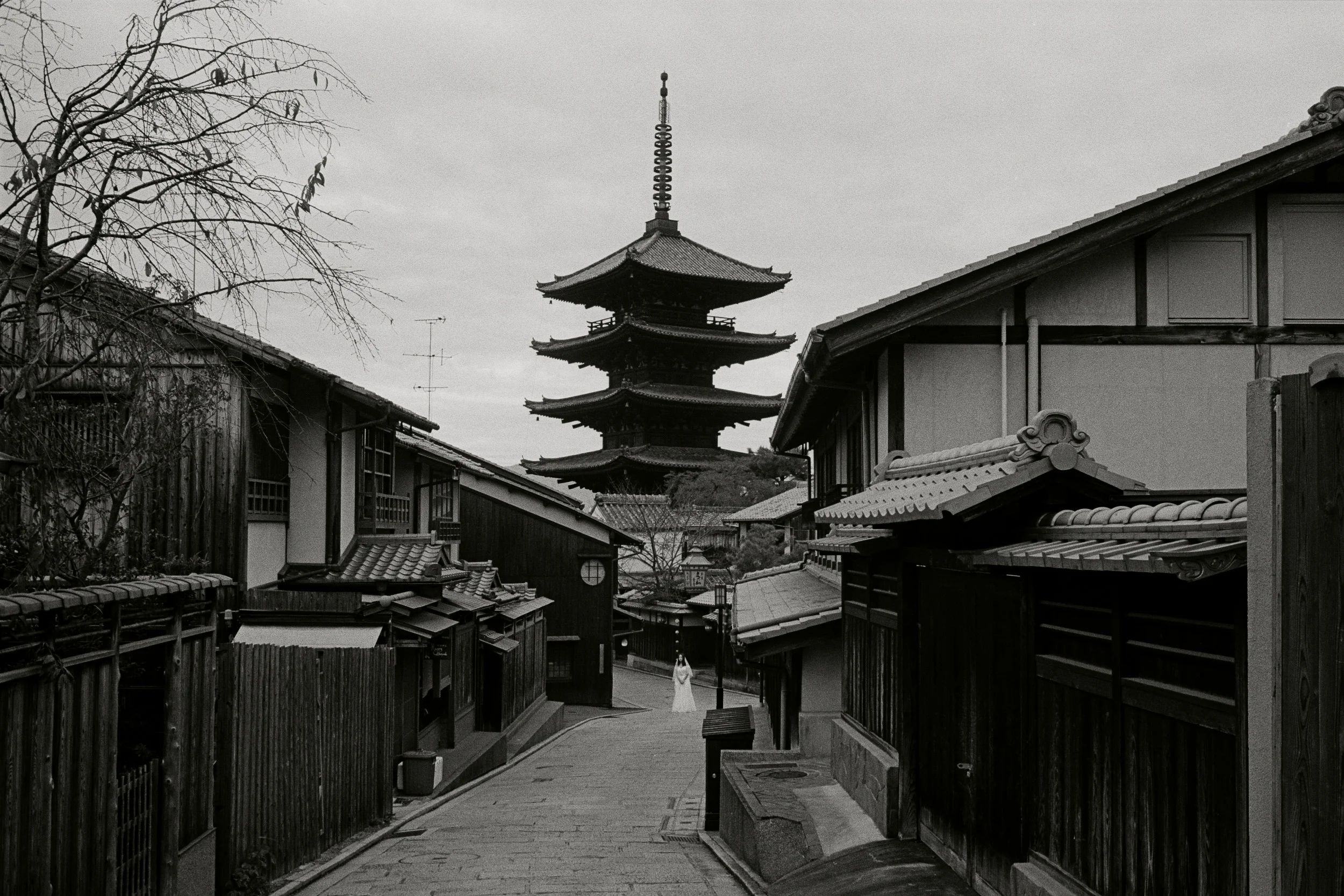 japan_anthology-27.jpg