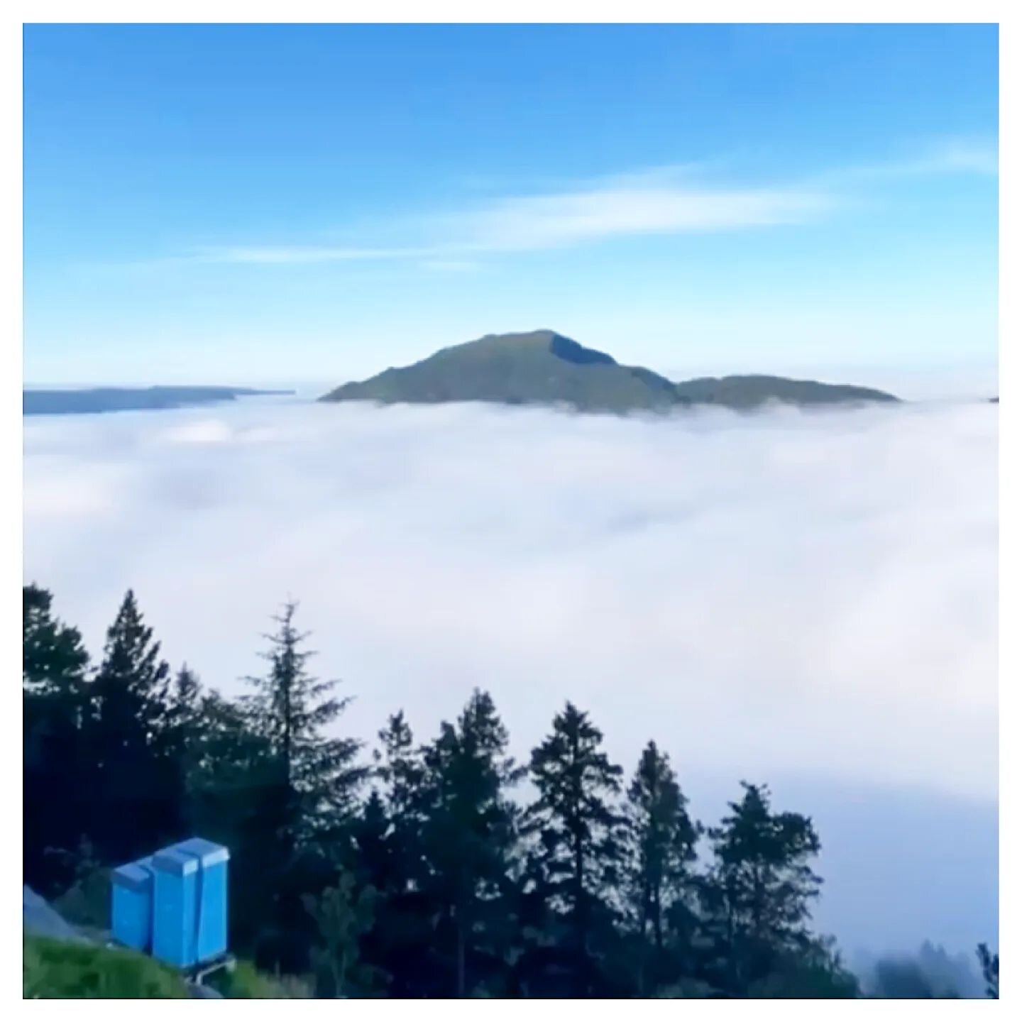 17&deg;C ⛅
Our @floibanen beeyard above the clouds this morning. 🐝☁️
320m above Bergen.
📸 @vibekesov 
#fl&oslash;yen
.
.
.
#beekeeper #beekeeping&nbsp; #rooftopbeekeeping #backyardbeekeeping #urbanbeekeeping #beehive 
#honey #apiary #apiculture #ab