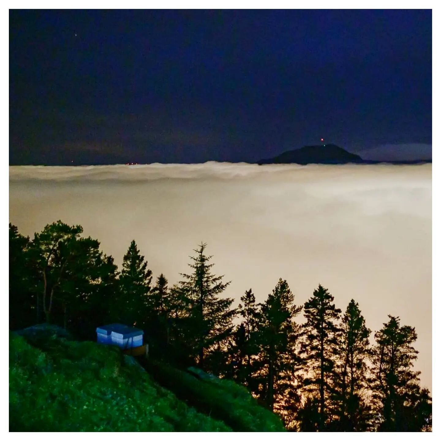 7&deg;C ☀️
The Fl&oslash;yen beehives above the fog earlier this week. All ready for winter.
.
.
.
beekeeper #beekeeping&nbsp; #rooftopbeekeeping #backyardbeekeeping #urbanbeekeeping #beehive 
#honey #apiary #apiculture #abeilles #abejas #bee #honeyb