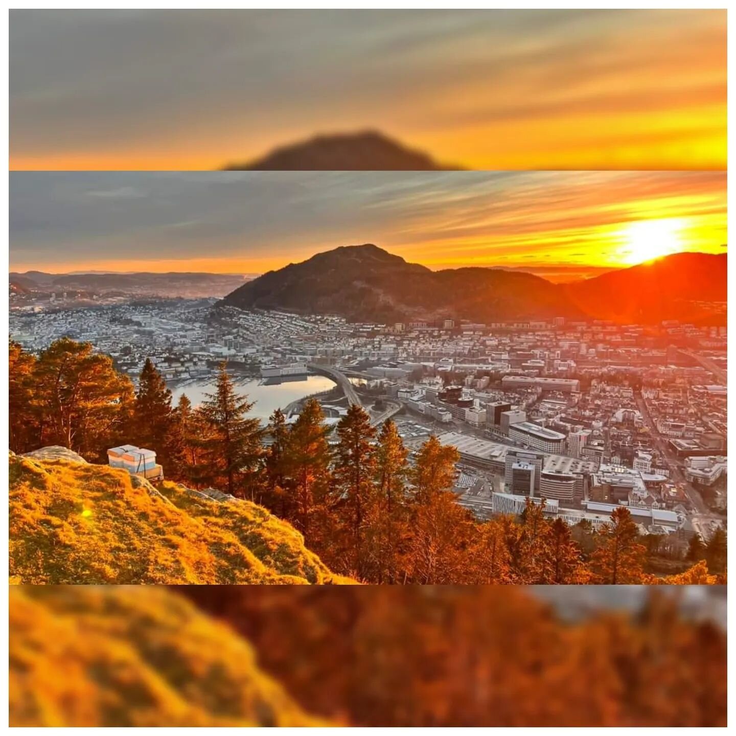 -2&deg; ☀️
Fl&oslash;yen hives in the sunset last week.
📸 Sonia Bataller
.
.
.
#beekeeper #beekeeping&nbsp; #rooftopbeekeeping #backyardbeekeeping #urbanbeekeeping #beehive 
#honey #apiary #apiculture #abeilles #abejas #bee #honeybee #bees #bienen #