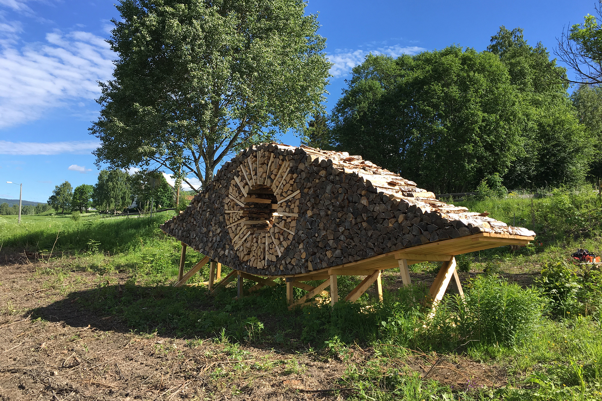 Wood - sculpture project