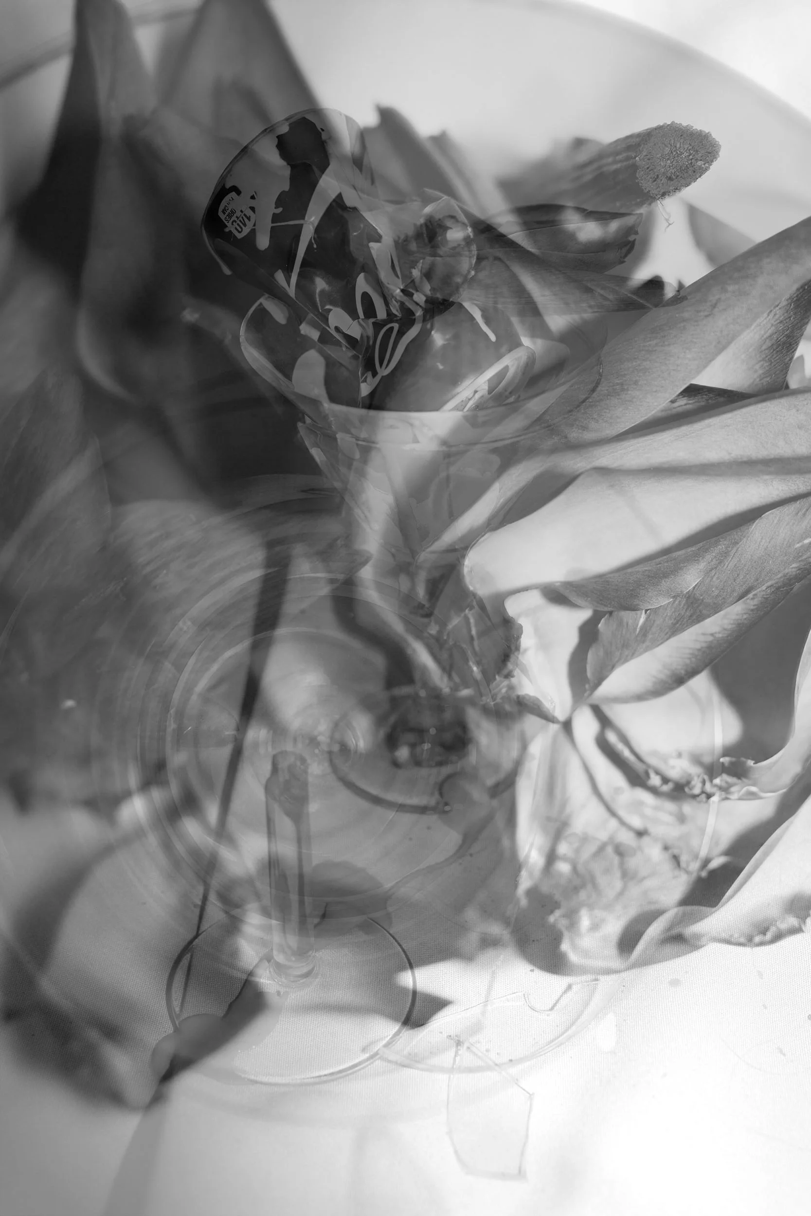 Still (Artichoke + Coke), 2016
