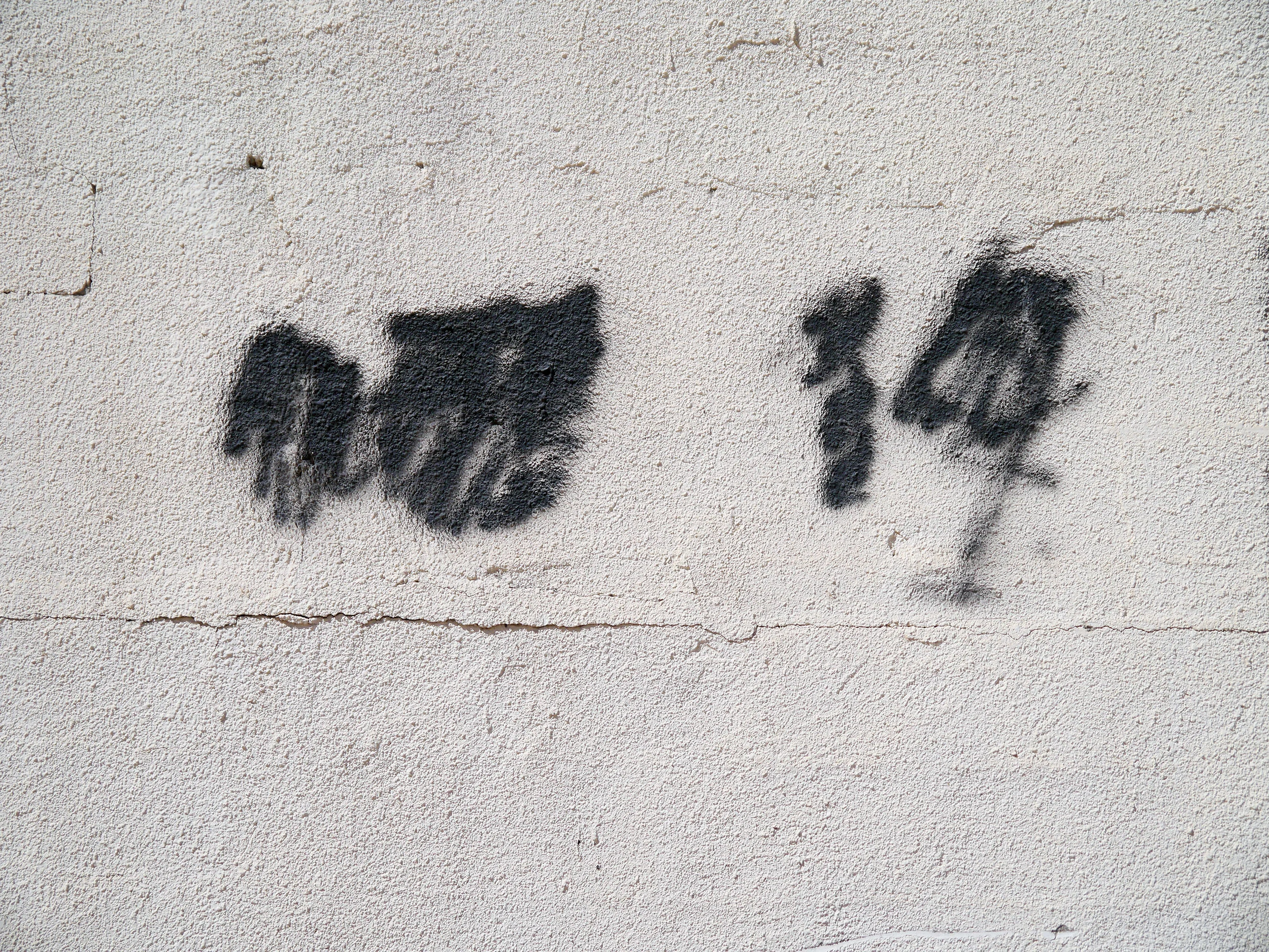 P1090452_.jpg