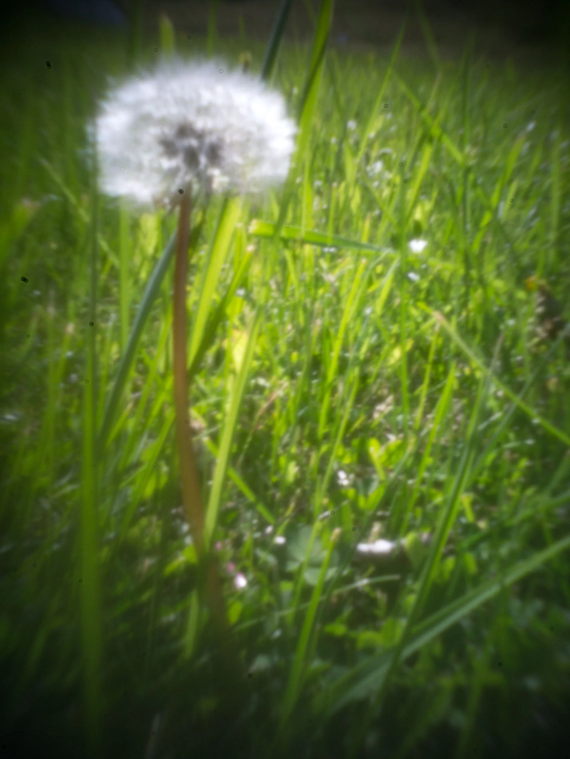 _1180100.jpg