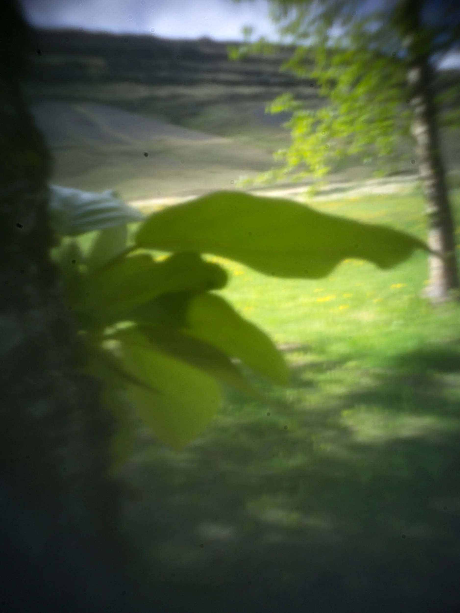 _1180124.jpg