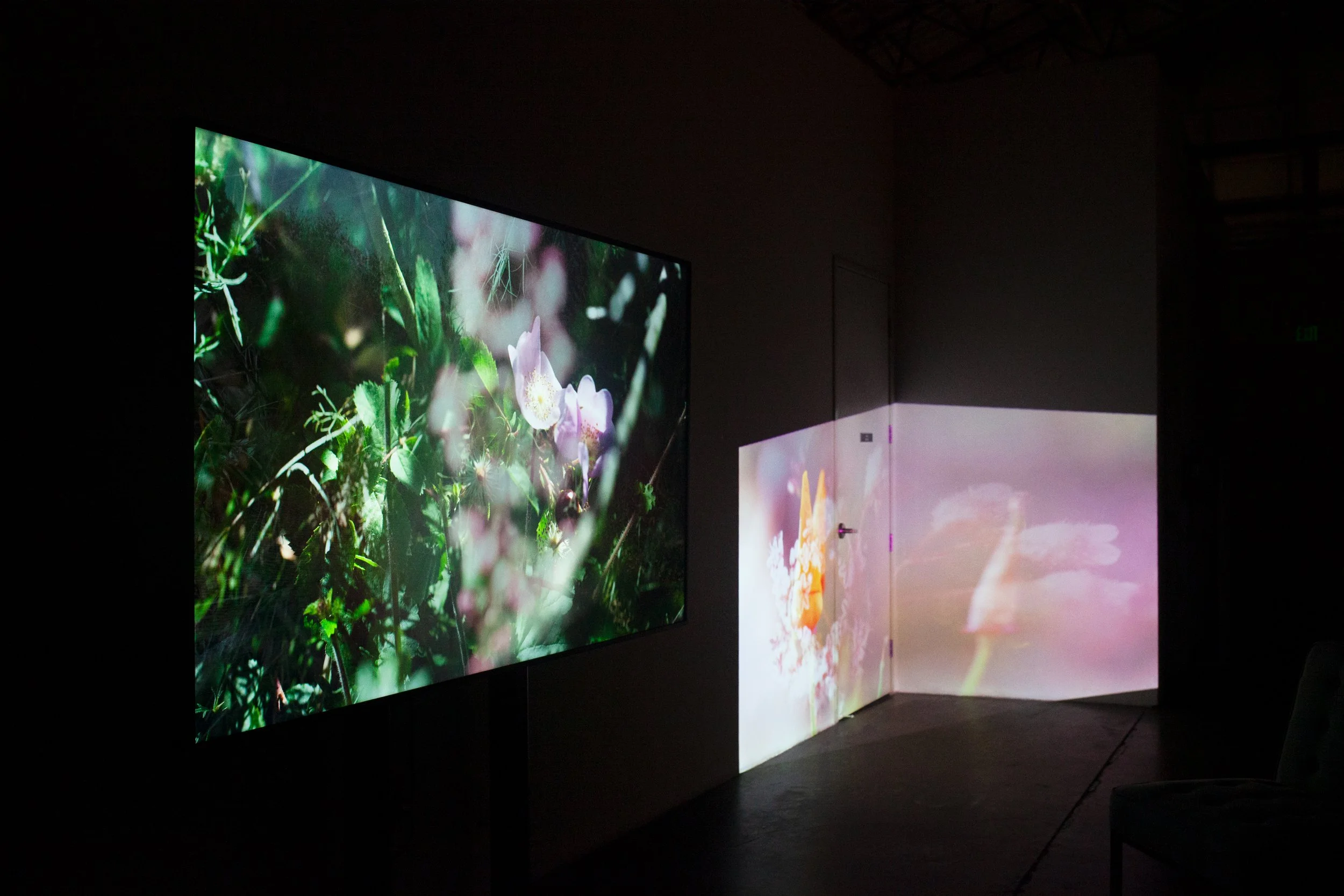 'The Ballona/Waachanga Project' is a  is a recipient of this year's Bruce Geller Memorial Prize from the Institute for Jewish Creativity, Los Angeles (USA)