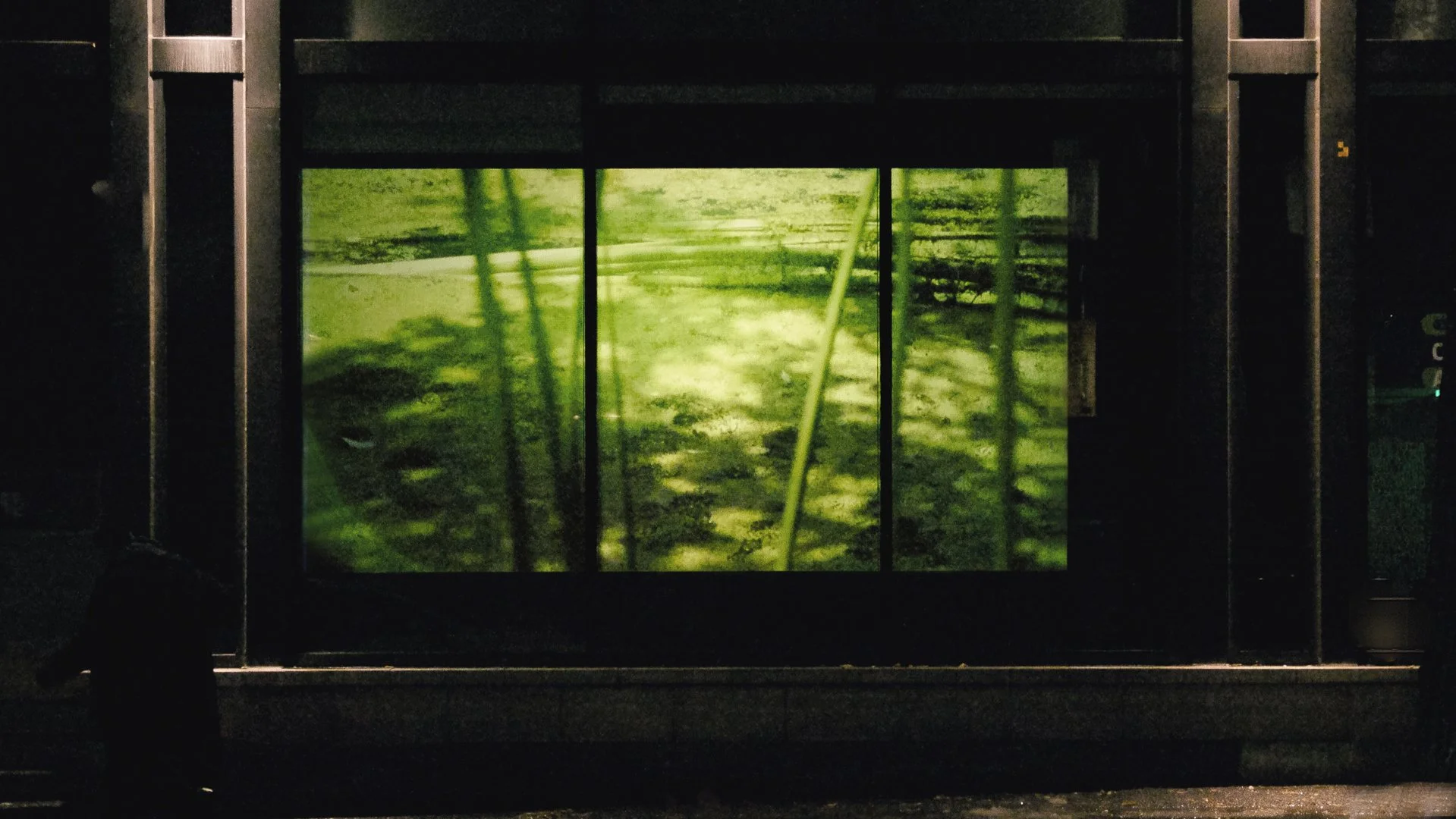 Goethe-Video-Installation-2025-Fall---Ash-KG-(subtletherapy.com)-5_02_straight.jpg