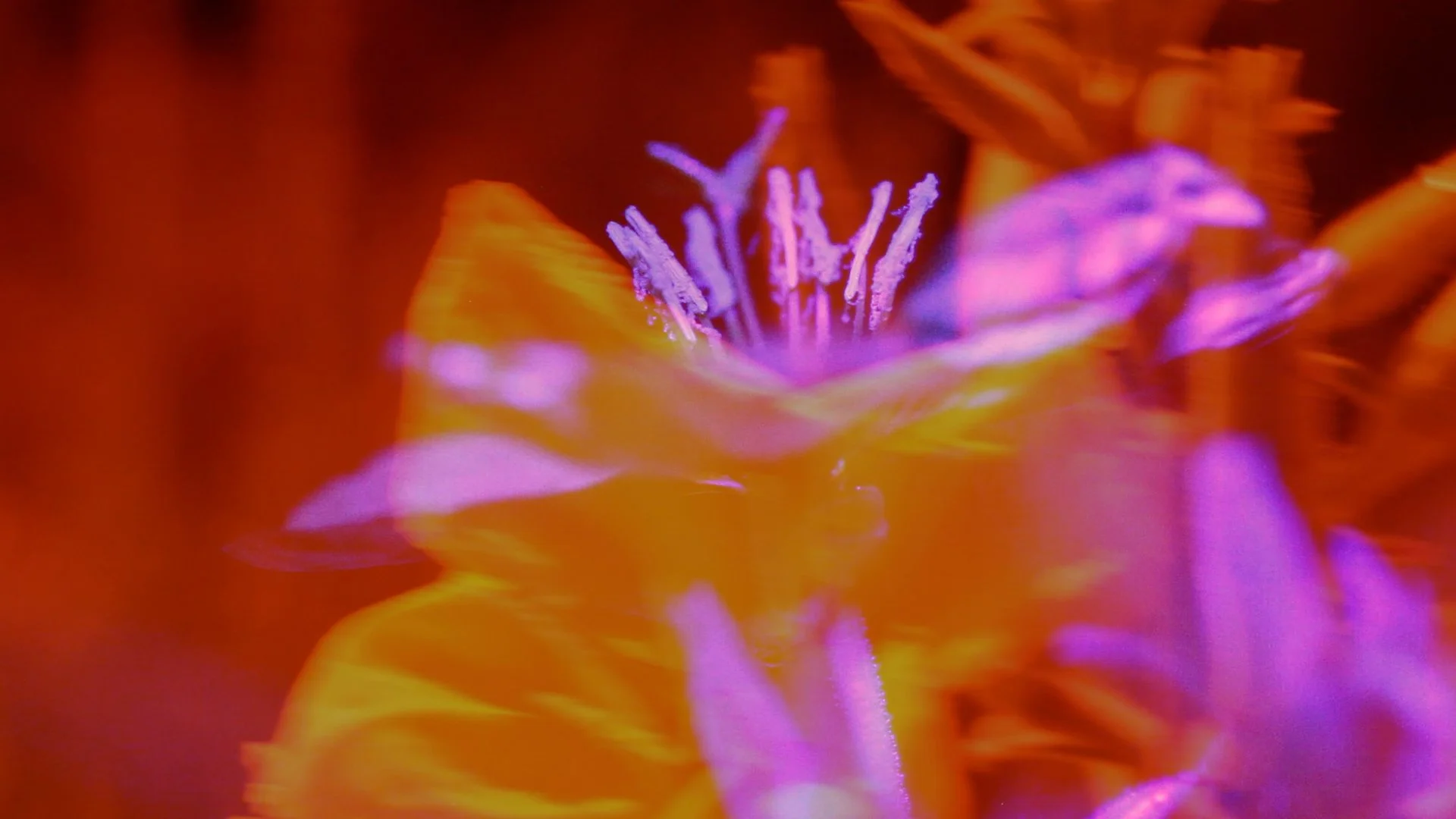 Sequence 05.00_01_30_07.Still090.jpg