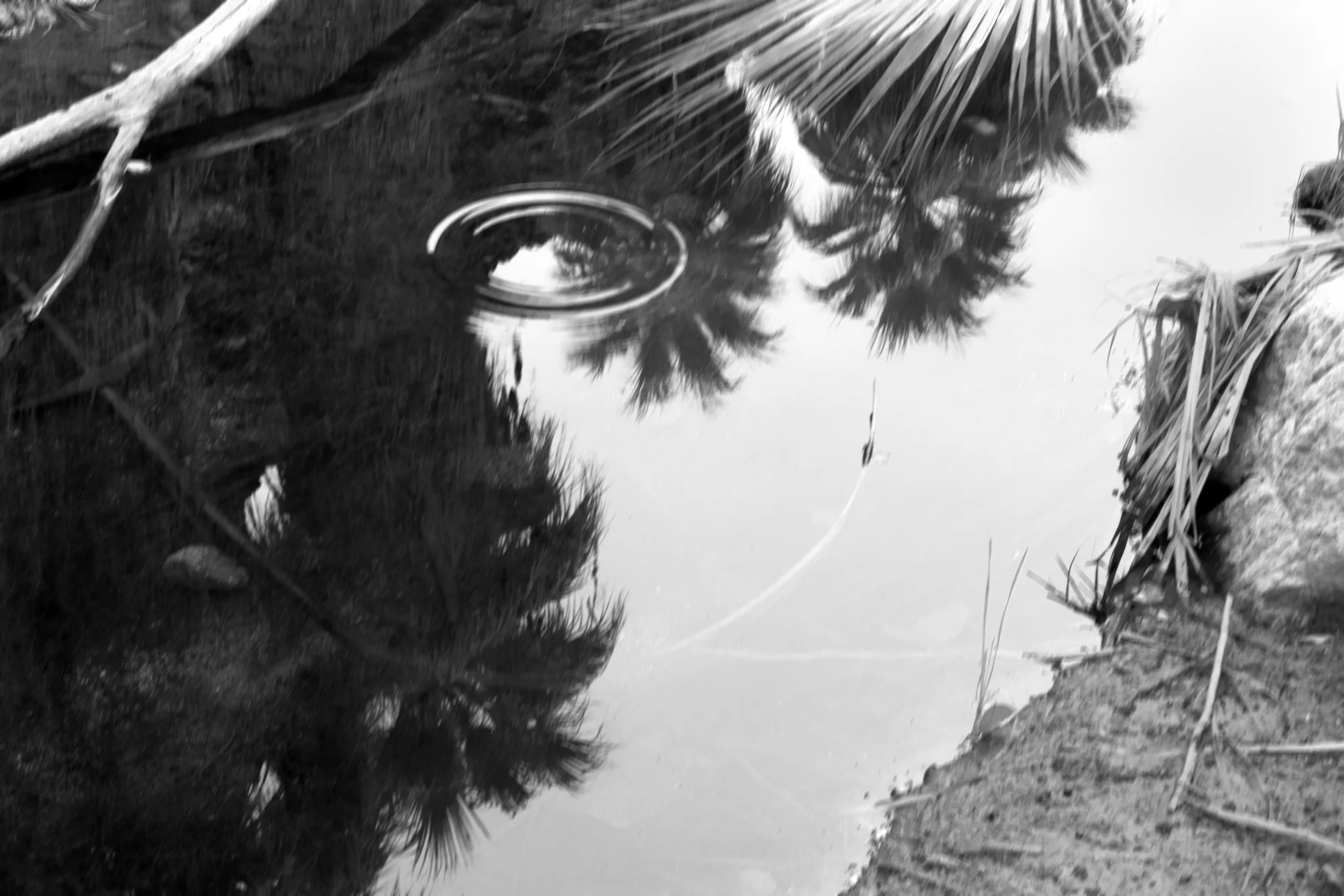 Thank you to the Alexander Tutsek Foundation for supporting my photographic project 'Vibrations' in 2026