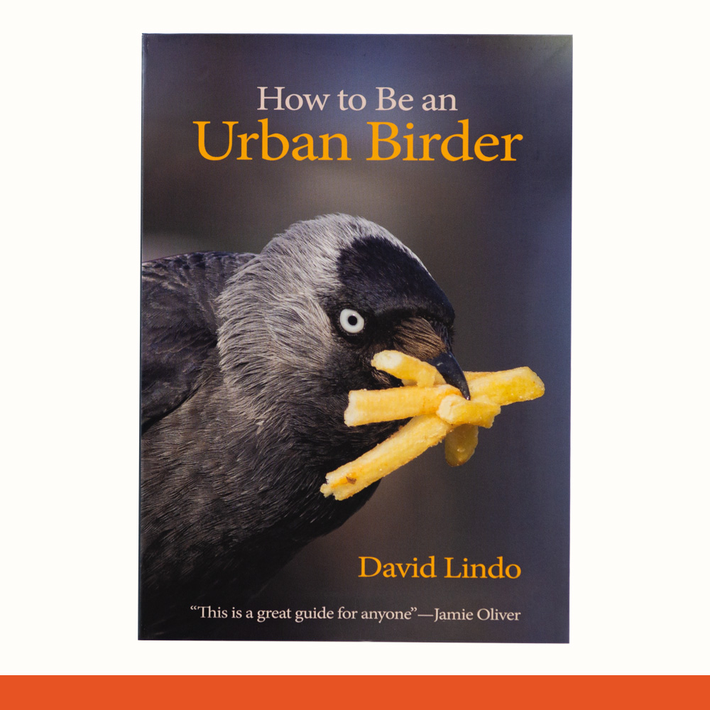 14_Urban_Birder.jpg