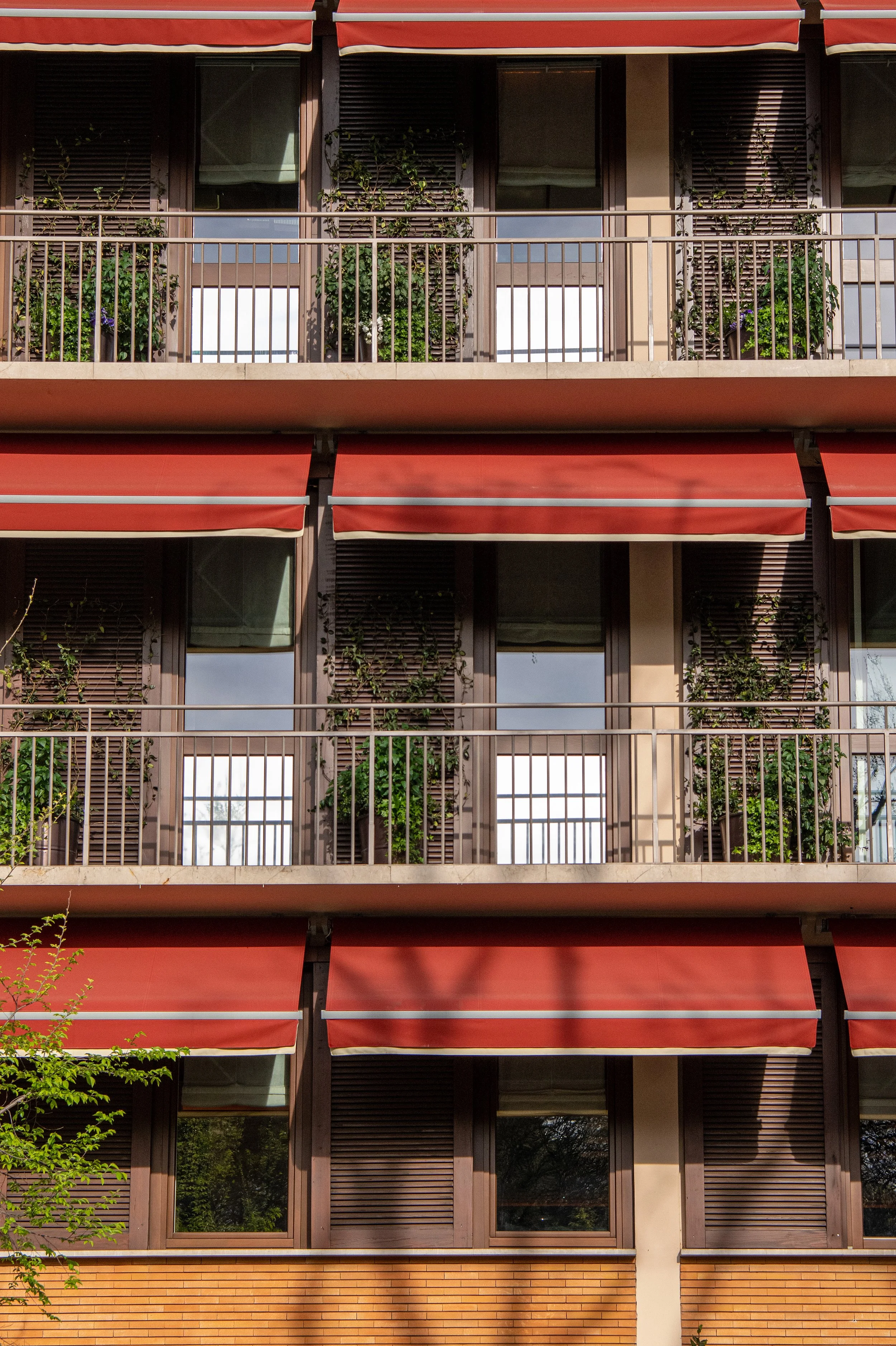 The Wilde054_1903.jpg