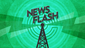 What are Escape Rooms?