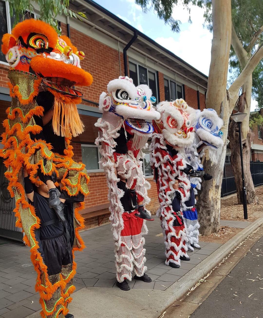 The best way to complete the last day of performance: meeting up with our other half 😍 ~Phap Hoa x Long Hoa~

Was awesome meeting up and owning the spotlight with our brothers and sisters at Long Hoa Lion Dance! Too bad we couldnt get a whole group 