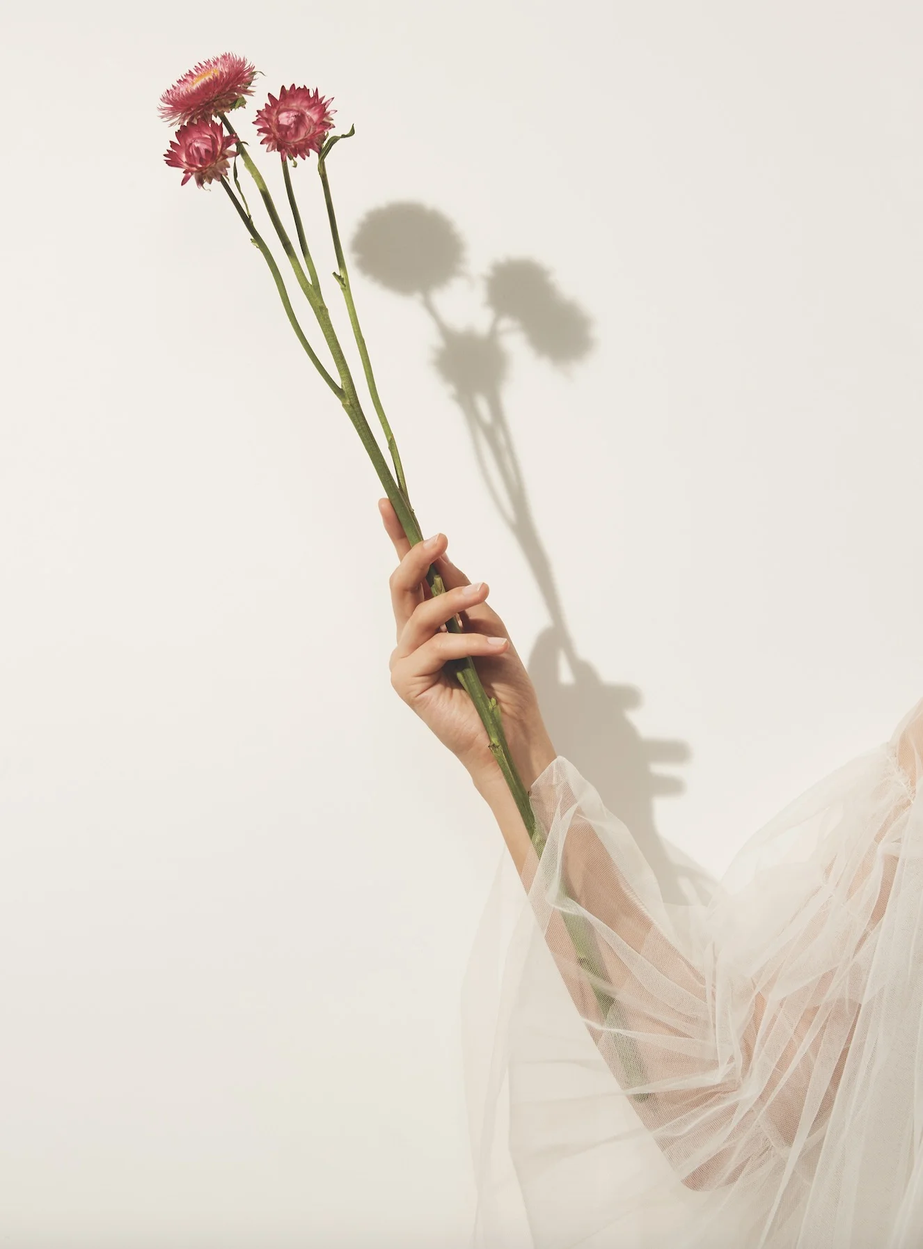 Screen Shot 2019-01-24 at 21.50.36.jpg