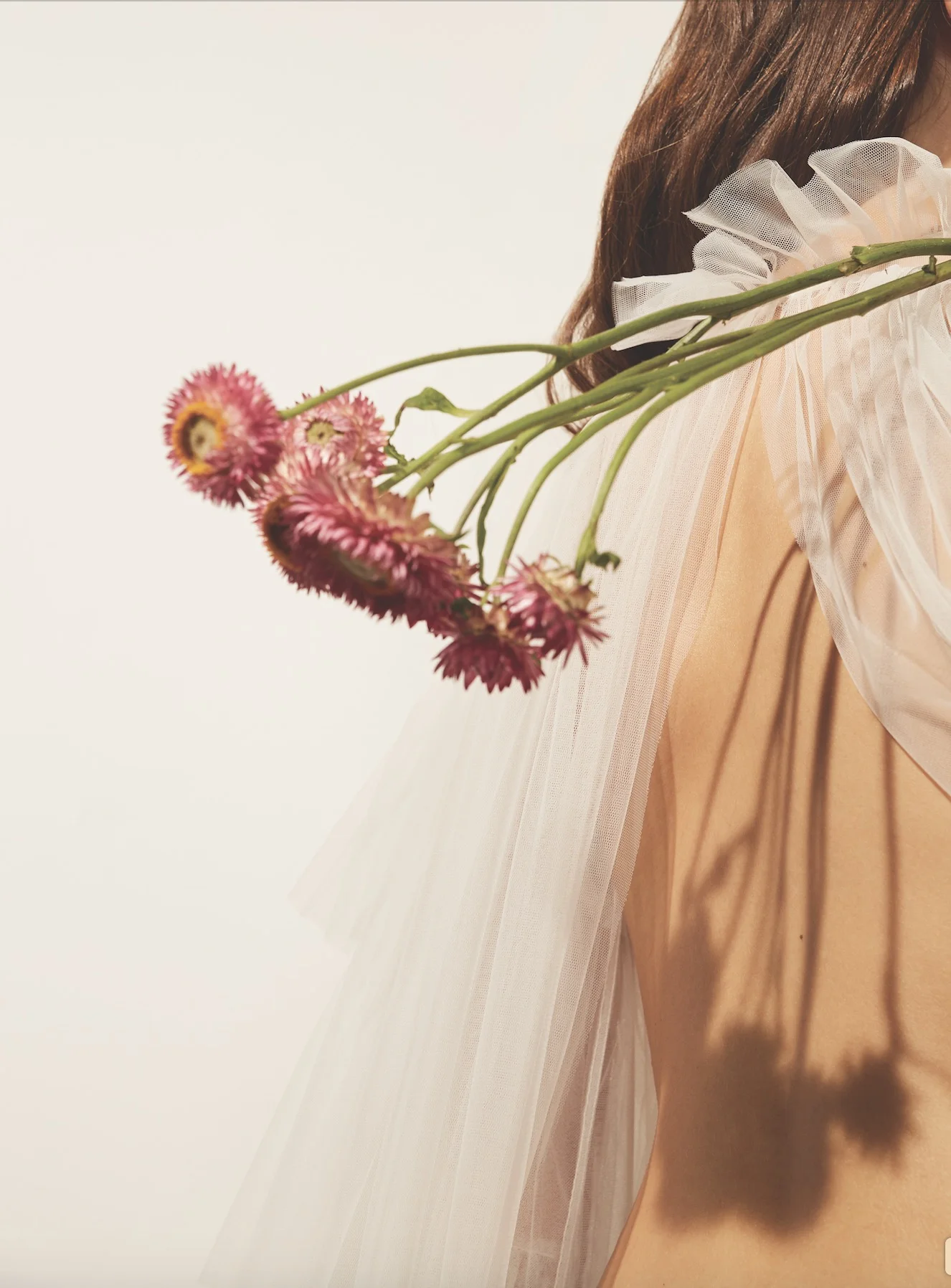 Screen Shot 2019-01-24 at 21.50.50.jpg