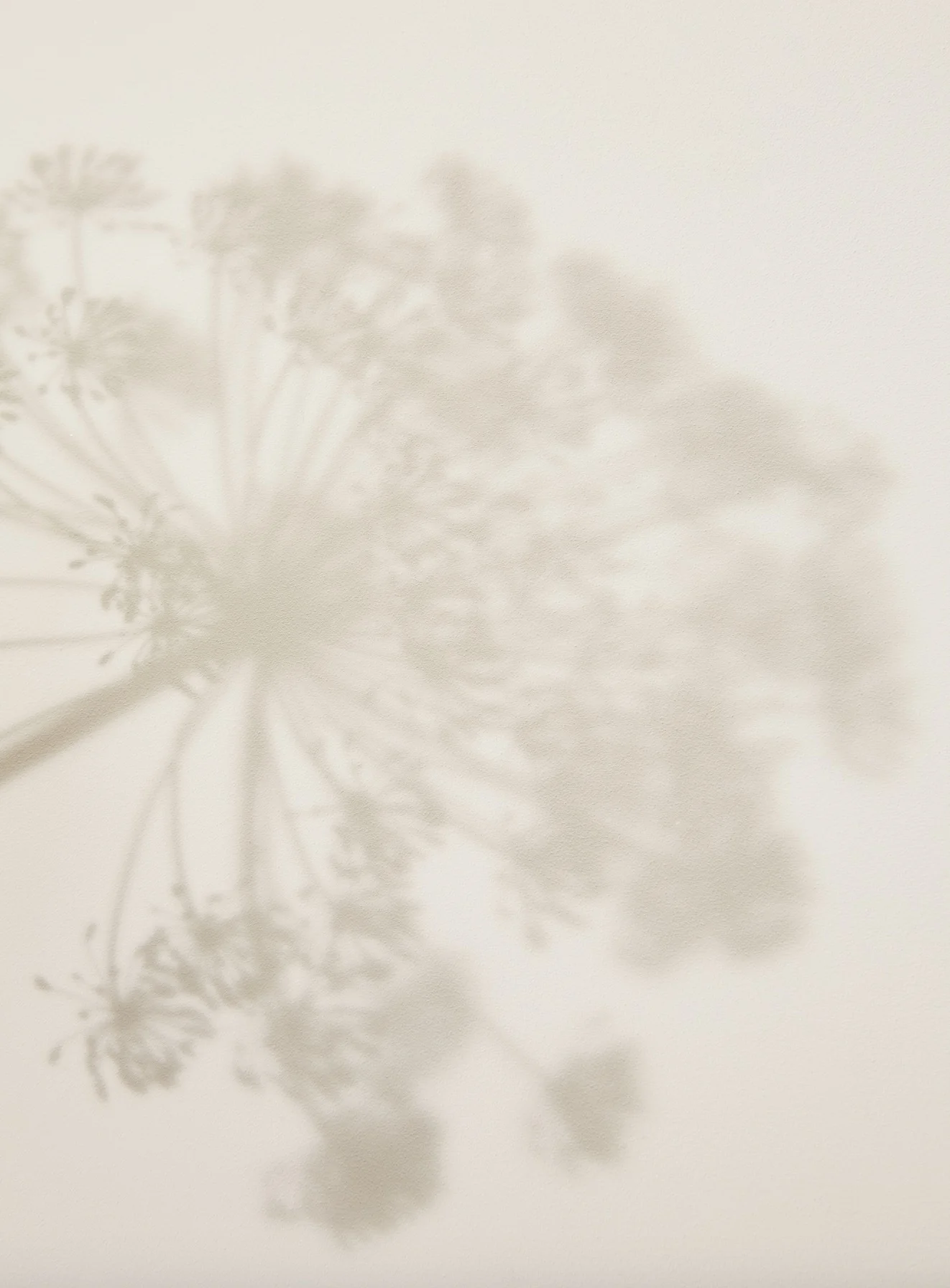 Screen Shot 2019-01-24 at 21.51.42.jpg