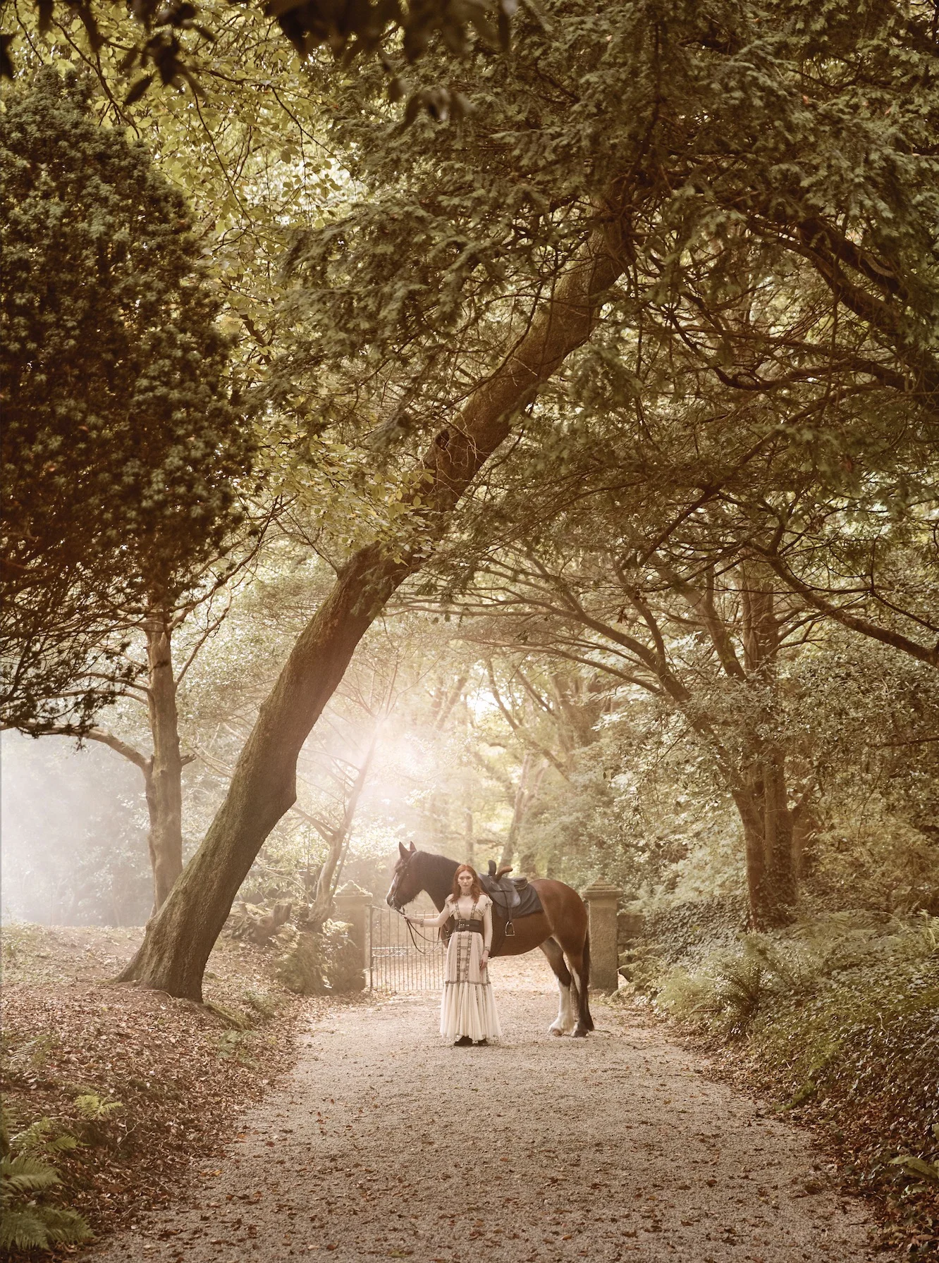 Screen Shot 2019-01-24 at 22.03.35.jpg