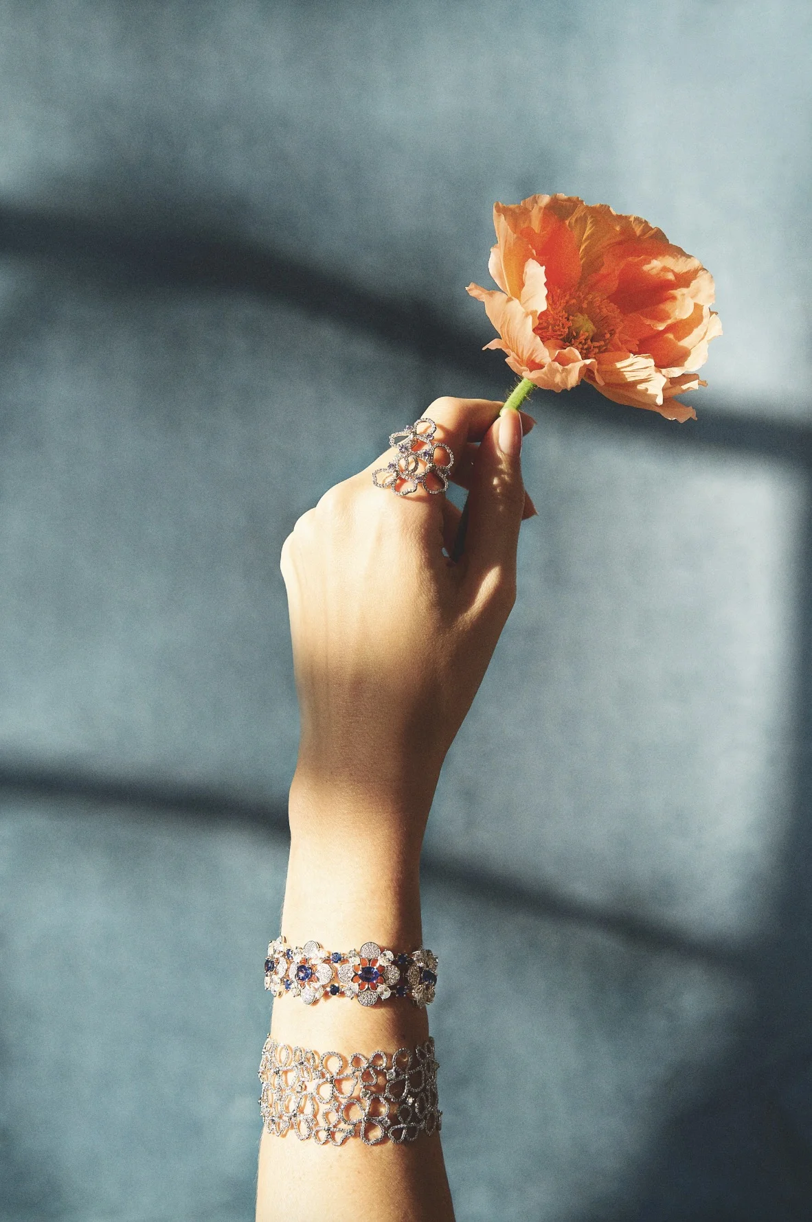 Screen Shot 2019-01-31 at 21.03.56.jpg