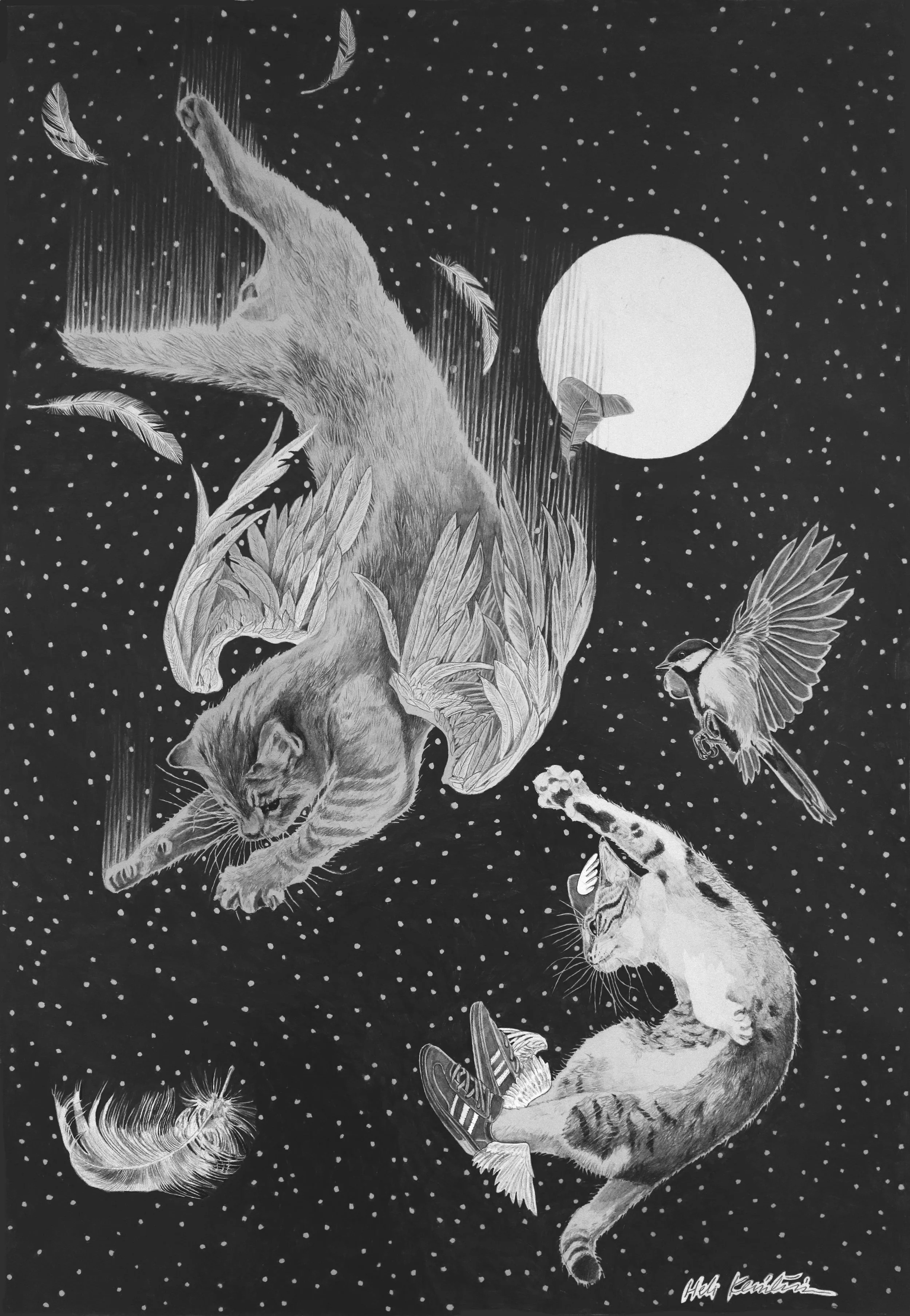 Falling I-cat-ros, 2026, lyijykynä paperille, 60 cm x 42 cm