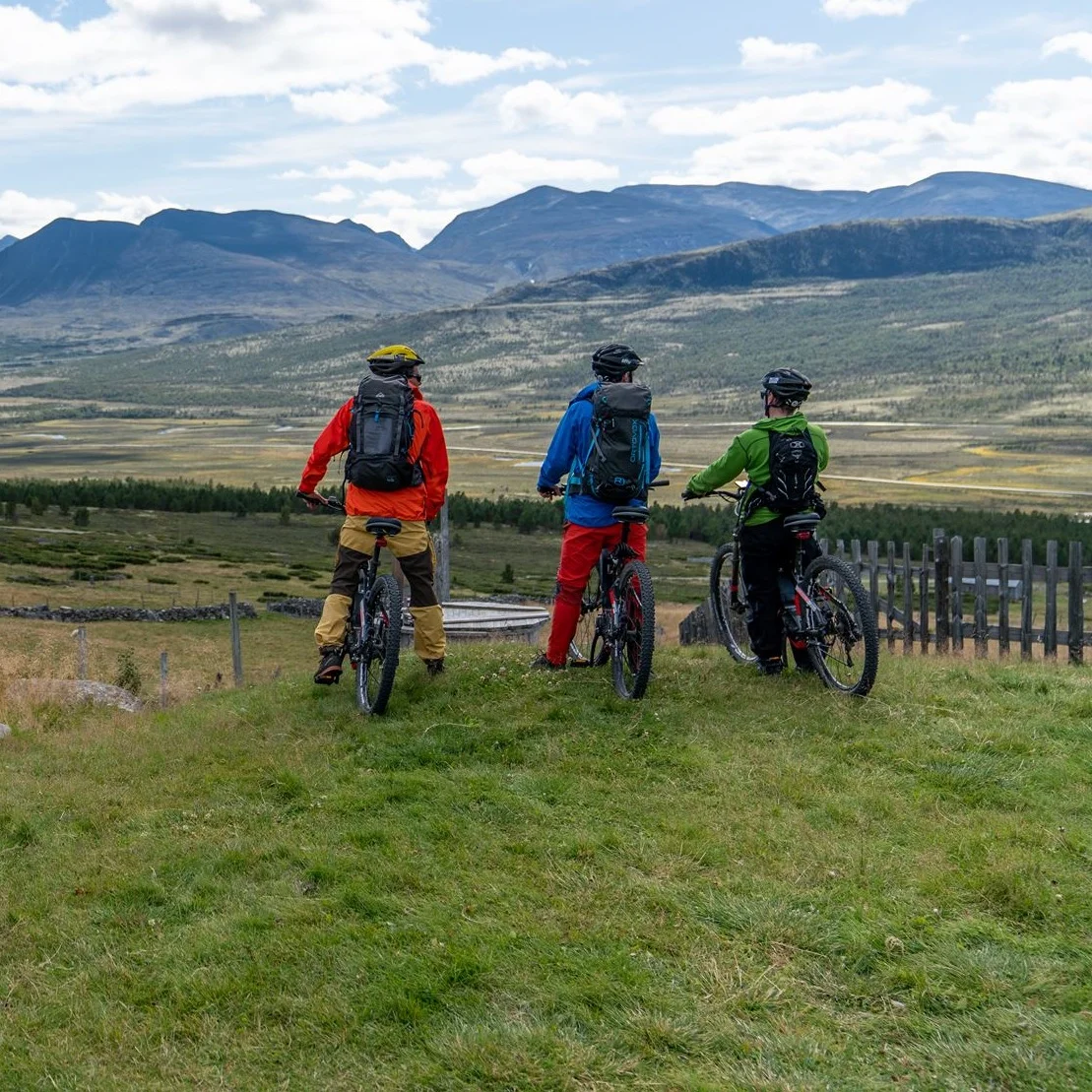 Dovrefjell Adventures