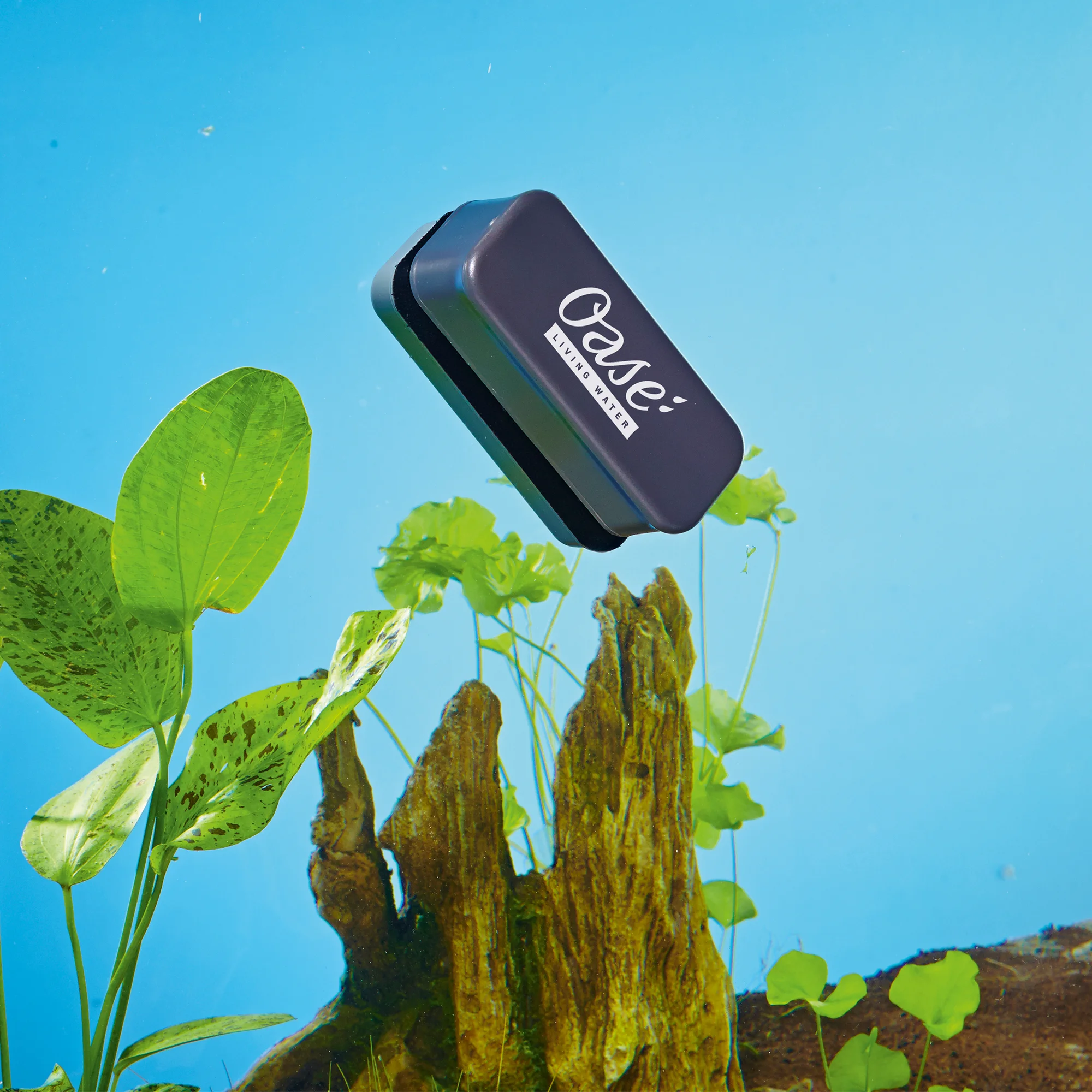 Magnet Aquarium Glass Cleaner — OASE Living Water