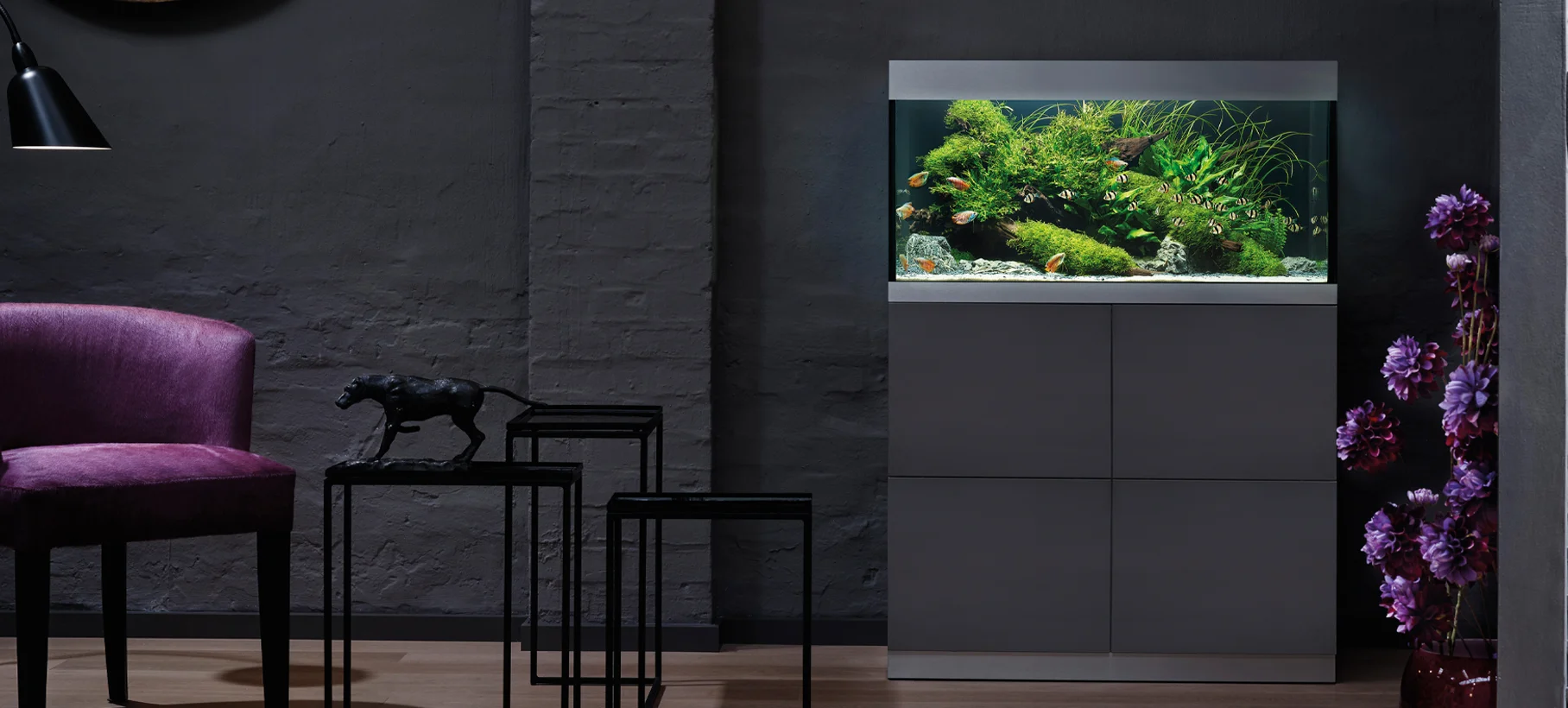 aquarium6.jpg