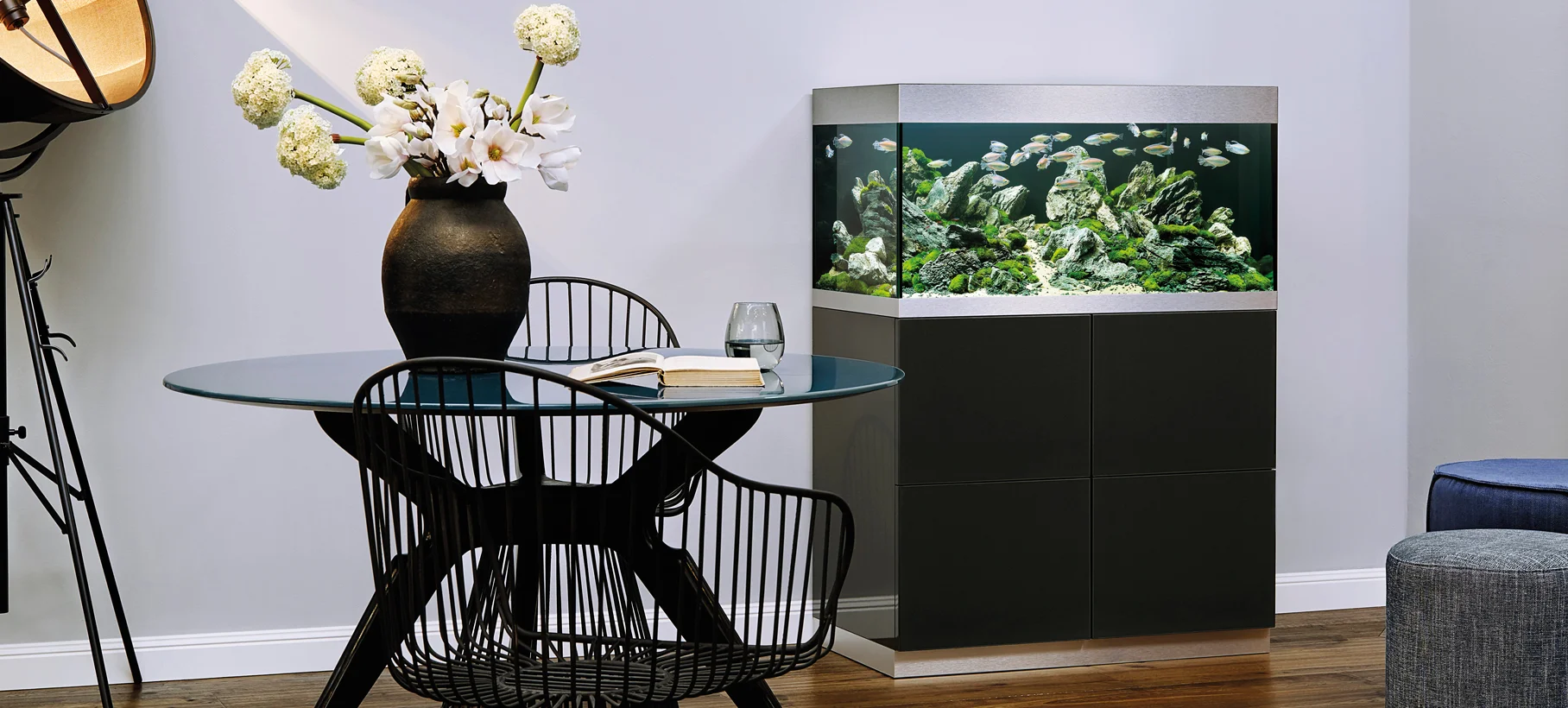 aquarium2.jpg