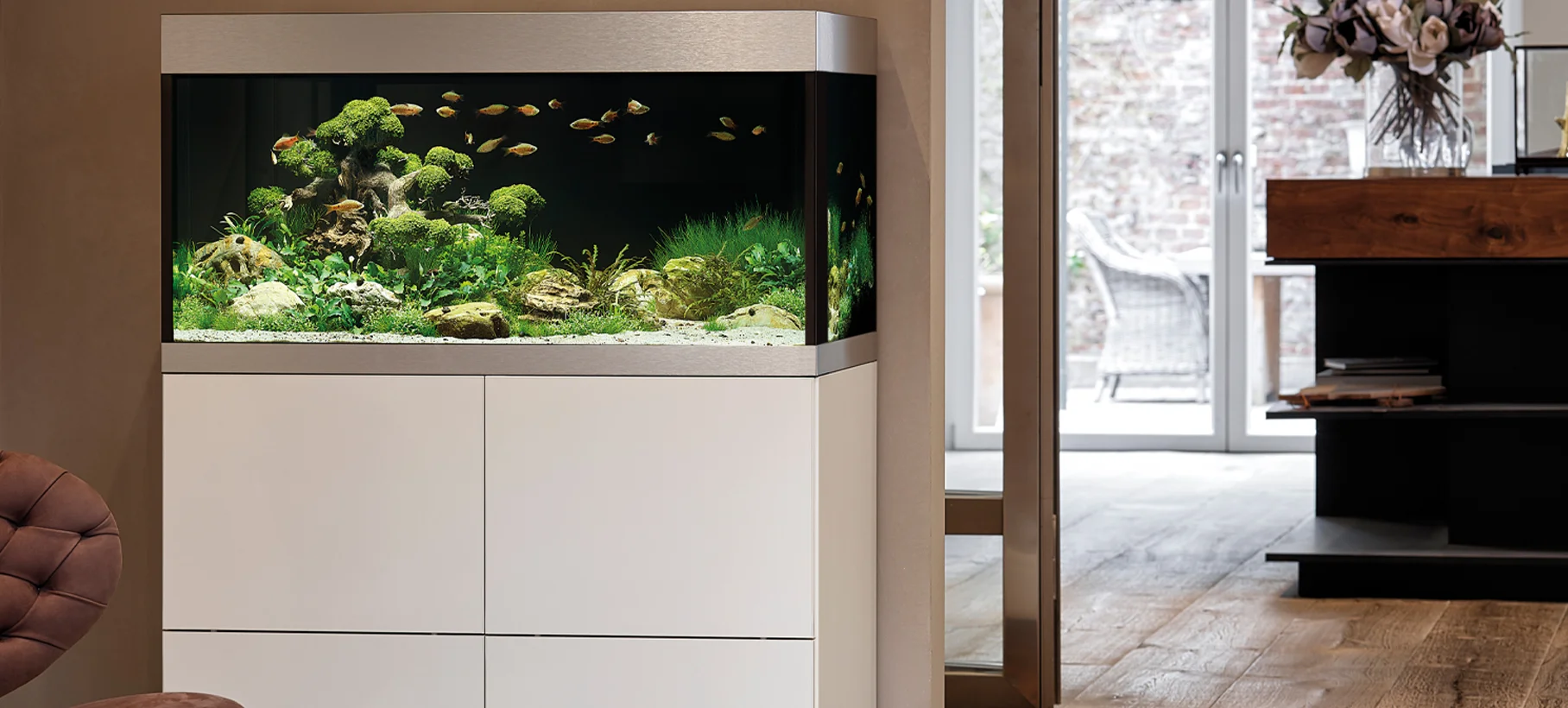 aquarium5.jpg