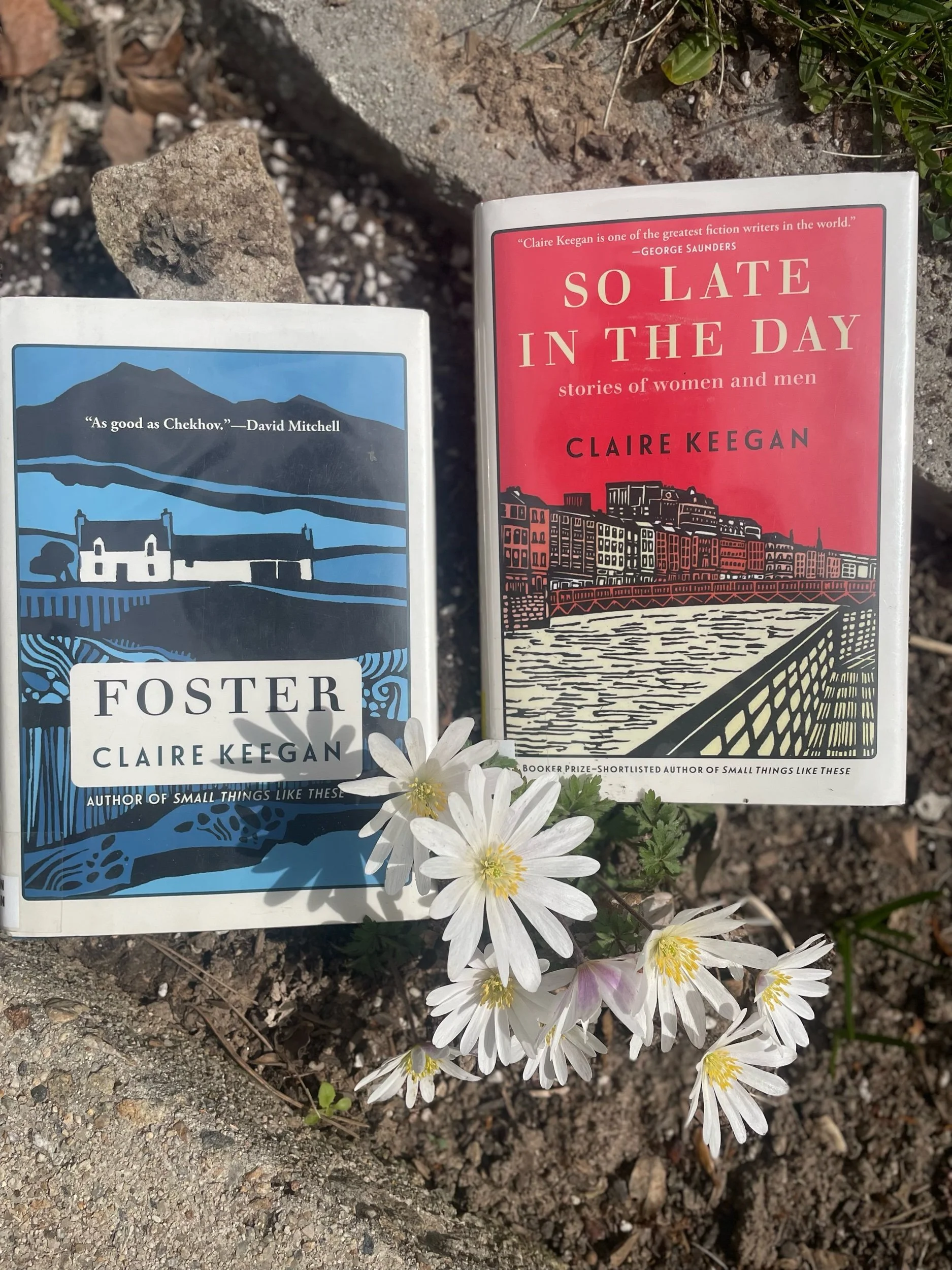 Foster and So Late In The Day