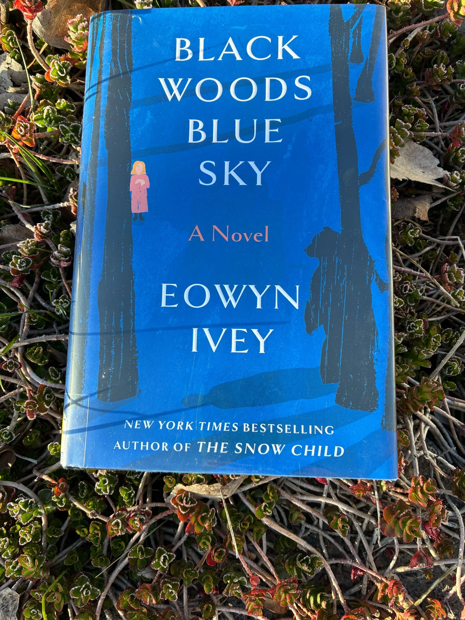 Black Woods, Blue Sky