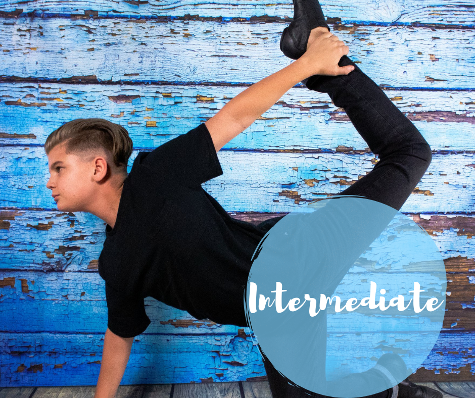 Intermediate Website Picture.png