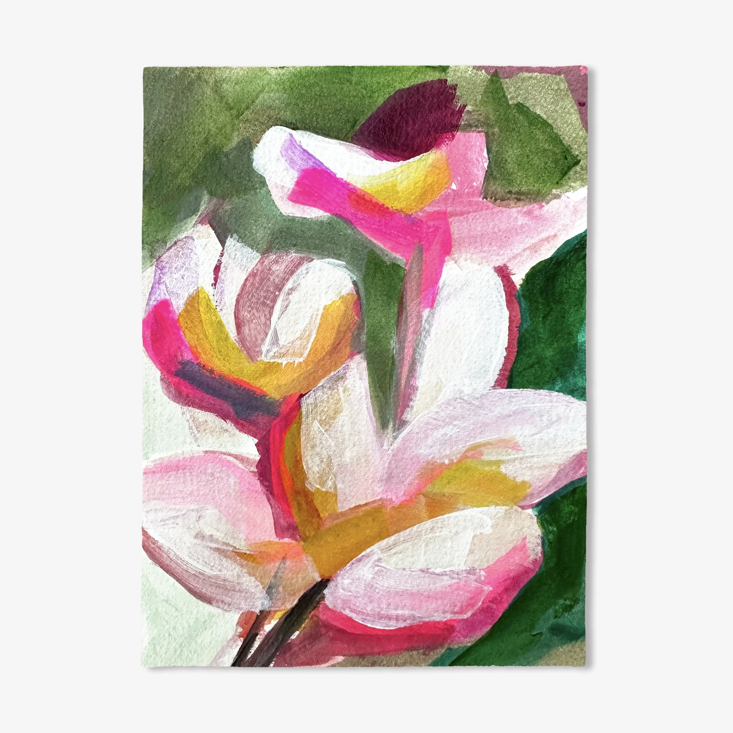 FLORA COLLECTION