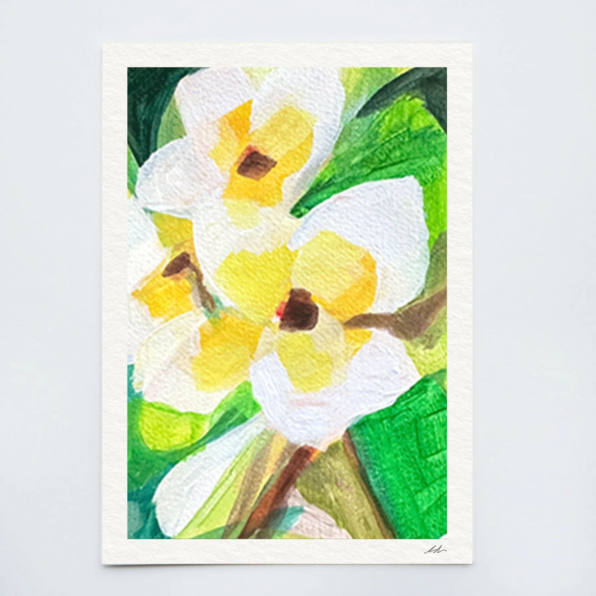 frangipani new-3.jpeg