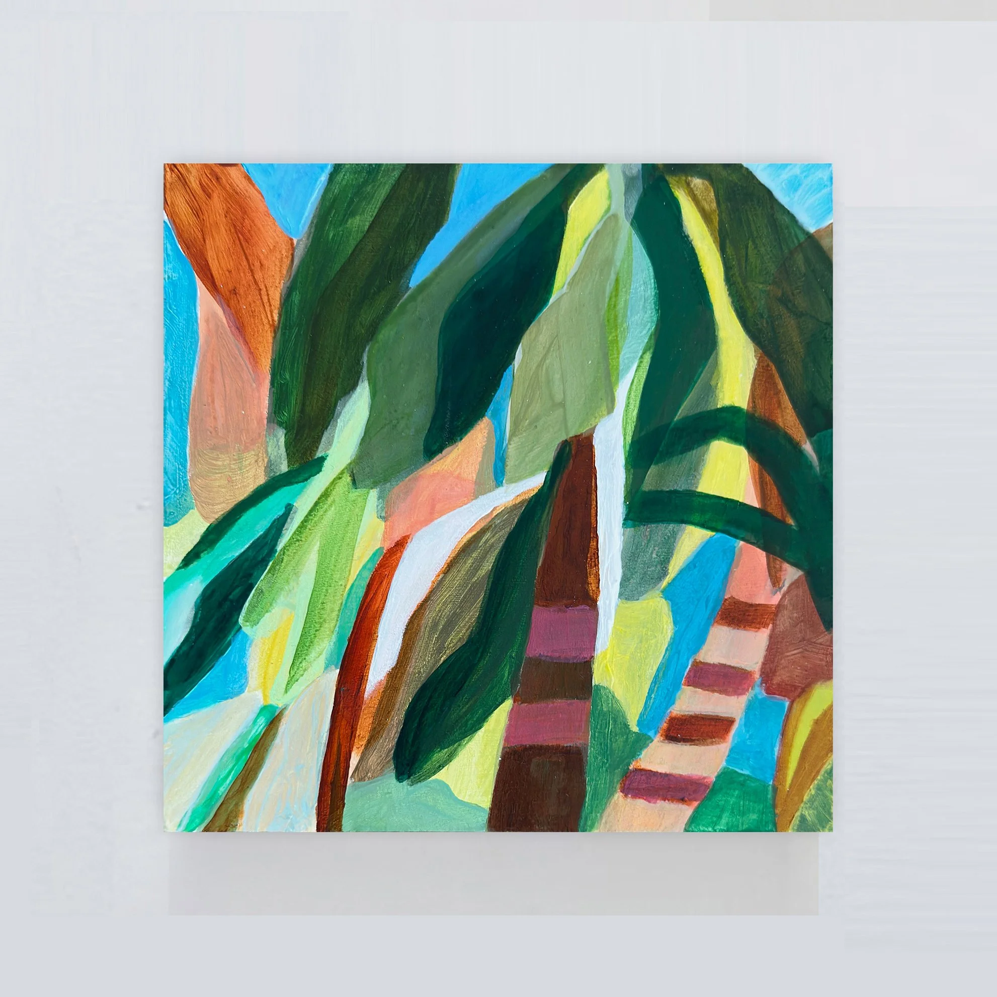 palmgrove.jpg