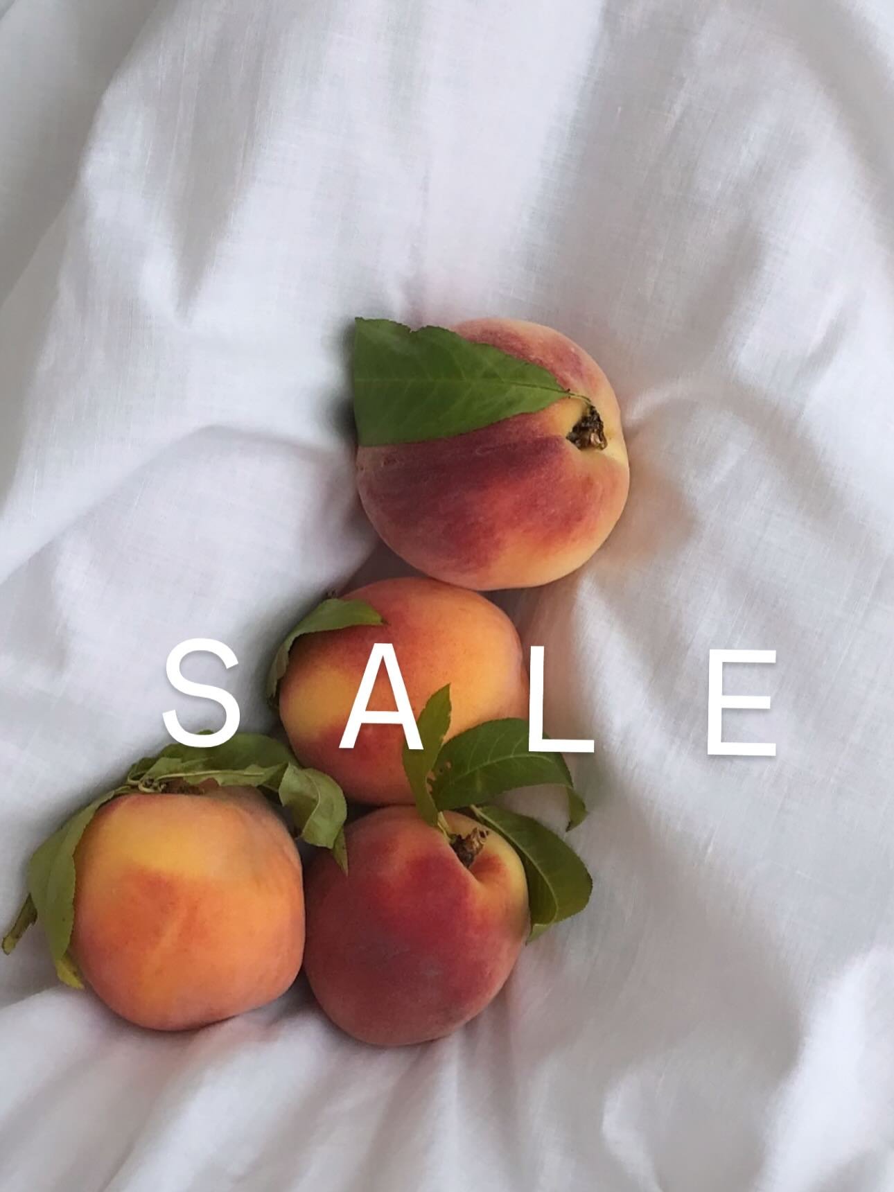ANNIVERSARY SALE! We&rsquo;re 9! 🍑 Enjoy 25% Off Sitewide w/ code: 9YEARS 🤍🍑🤍 #9yearsold

#esmesdrawertoo#truevintage#romanticlook#romanticvintage#vintageoutfit#vintageootd#vintagefashion#vintagedress#vintagewedding#vintageclothing#shopvintage#vi