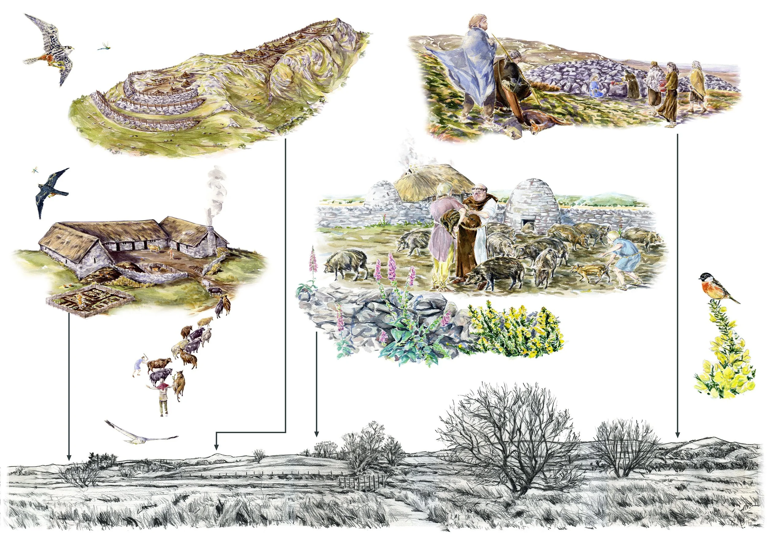 02_Strata Florida Historical Landscape_Interpretation Panel.jpg