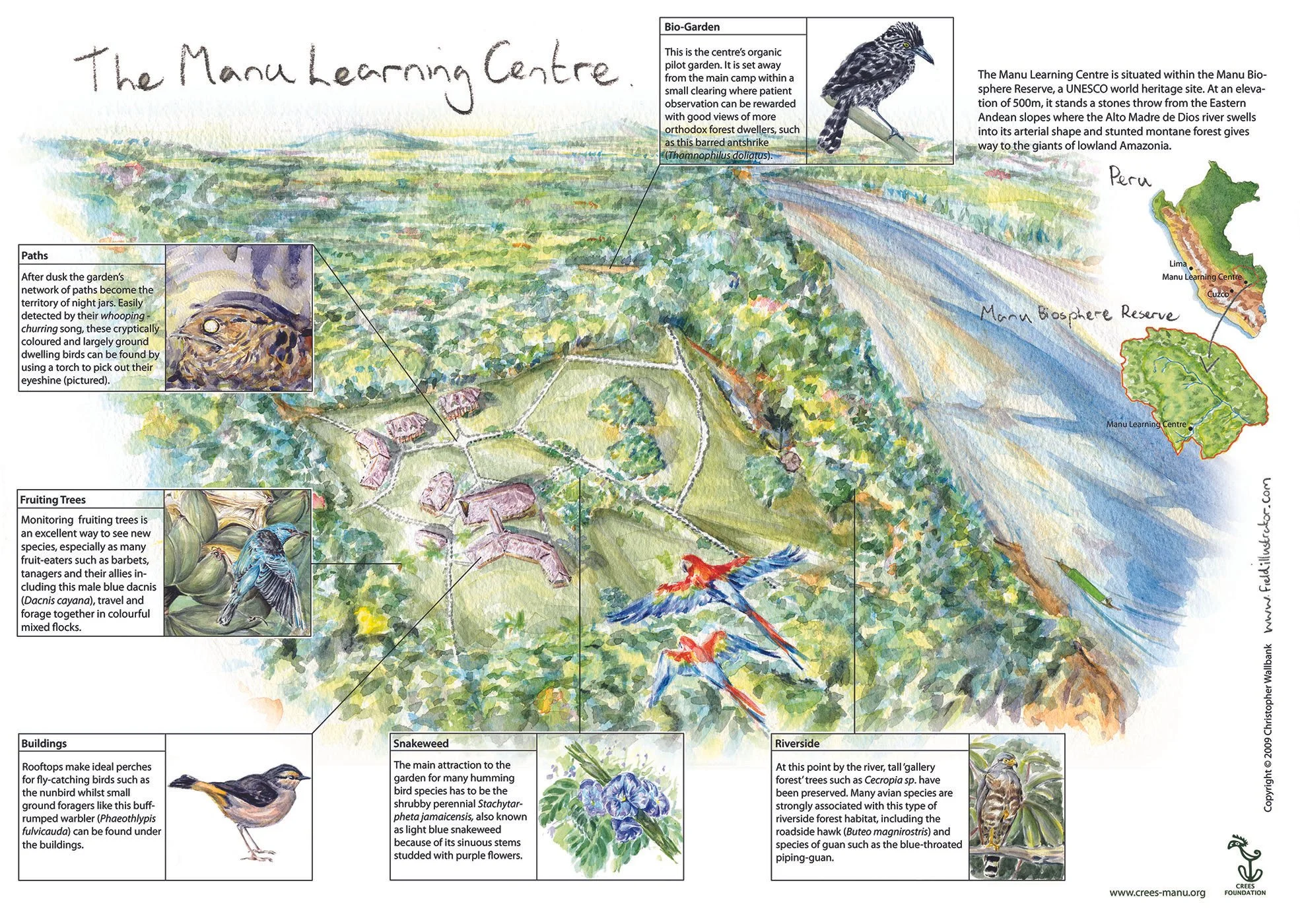10_Garden Birds MLC_Reverse_Fold out Map.jpg