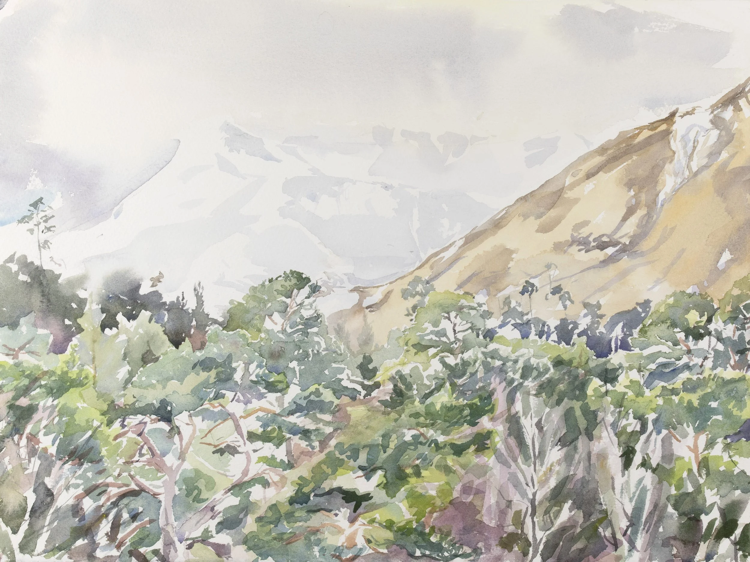 17_Glen Affric.jpg