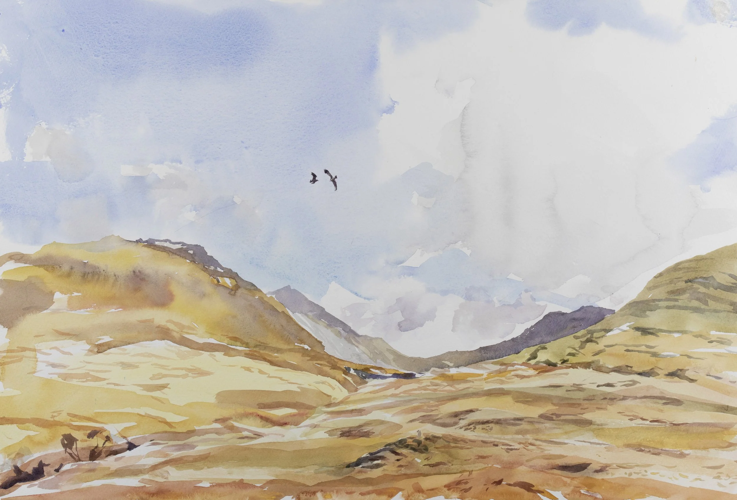 18_Golden Eagles, Ben More.jpg
