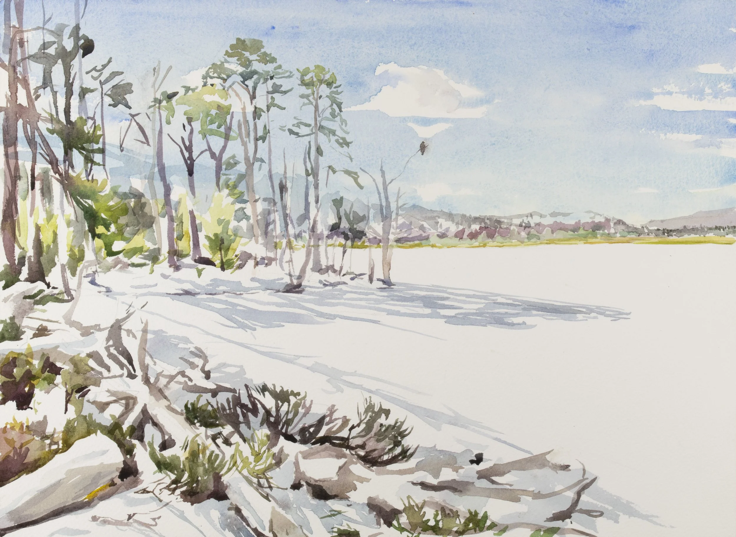Chris Wallbank_Still Buzzard, Loch Mallachie_Chris Wallbank_38x28cm 2mb.jpg