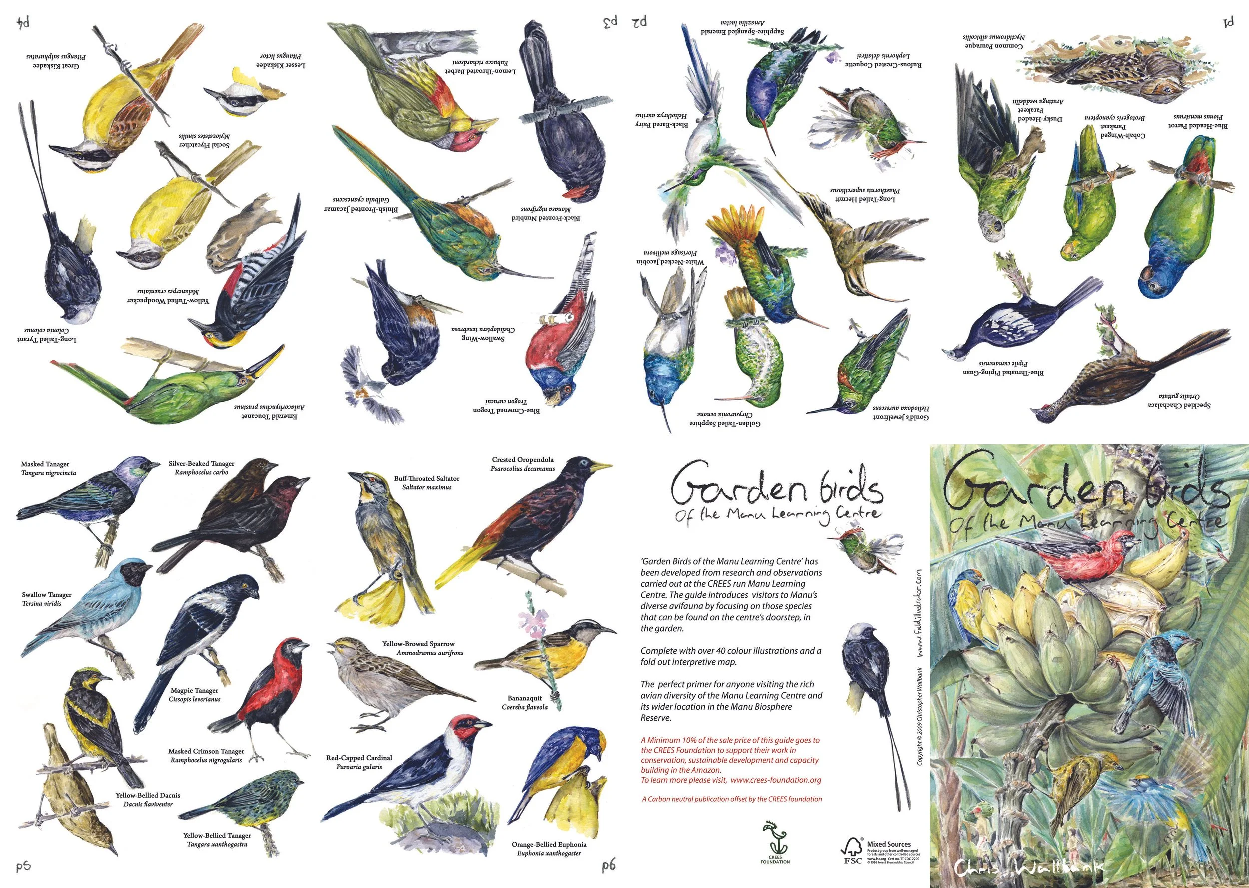 09_Garden Birds of MLC.jpg