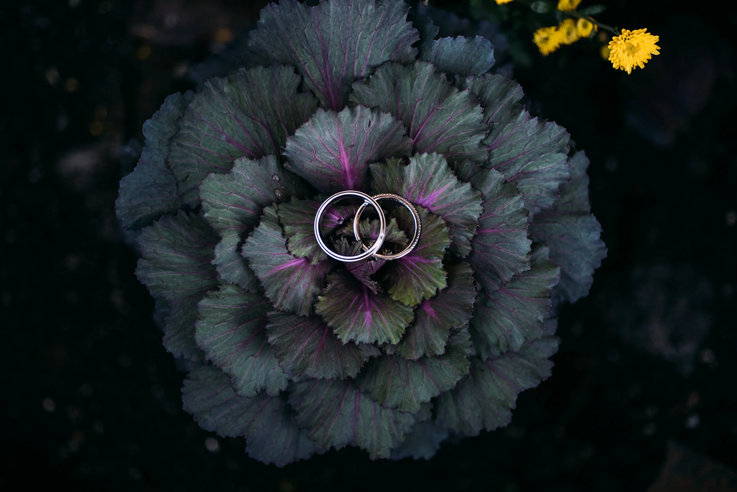 GrandCascadesWedding-M+T_032.jpg