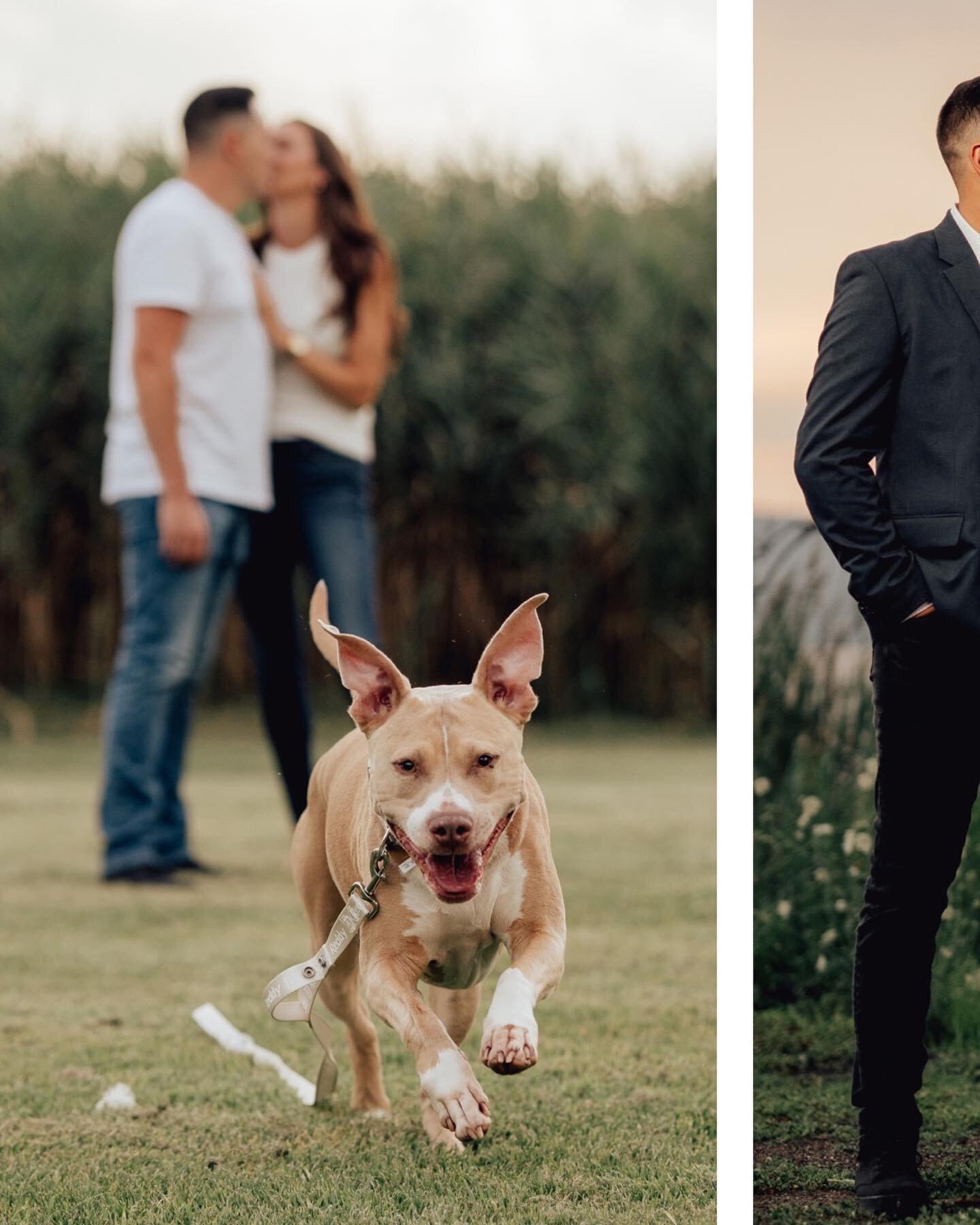 Tayler + Stefano | Piermont, NY
.
.
.
.
.
.
.
#weddingphotography #weddingphotos #njweddingphotographer #eshoot #engagementring #engagementphotos #piermontny #piermontpier #nyweddings #nywedding #weddings