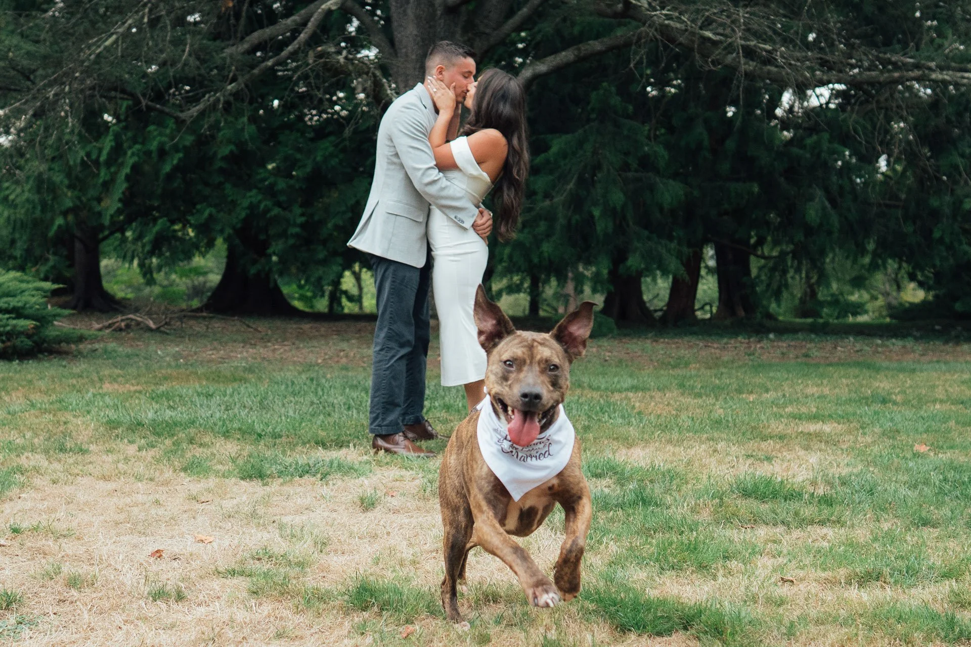 skylands_botanical gardens_eshoot_njweddingphotographer010.jpg