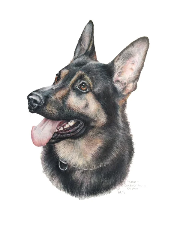 Koda