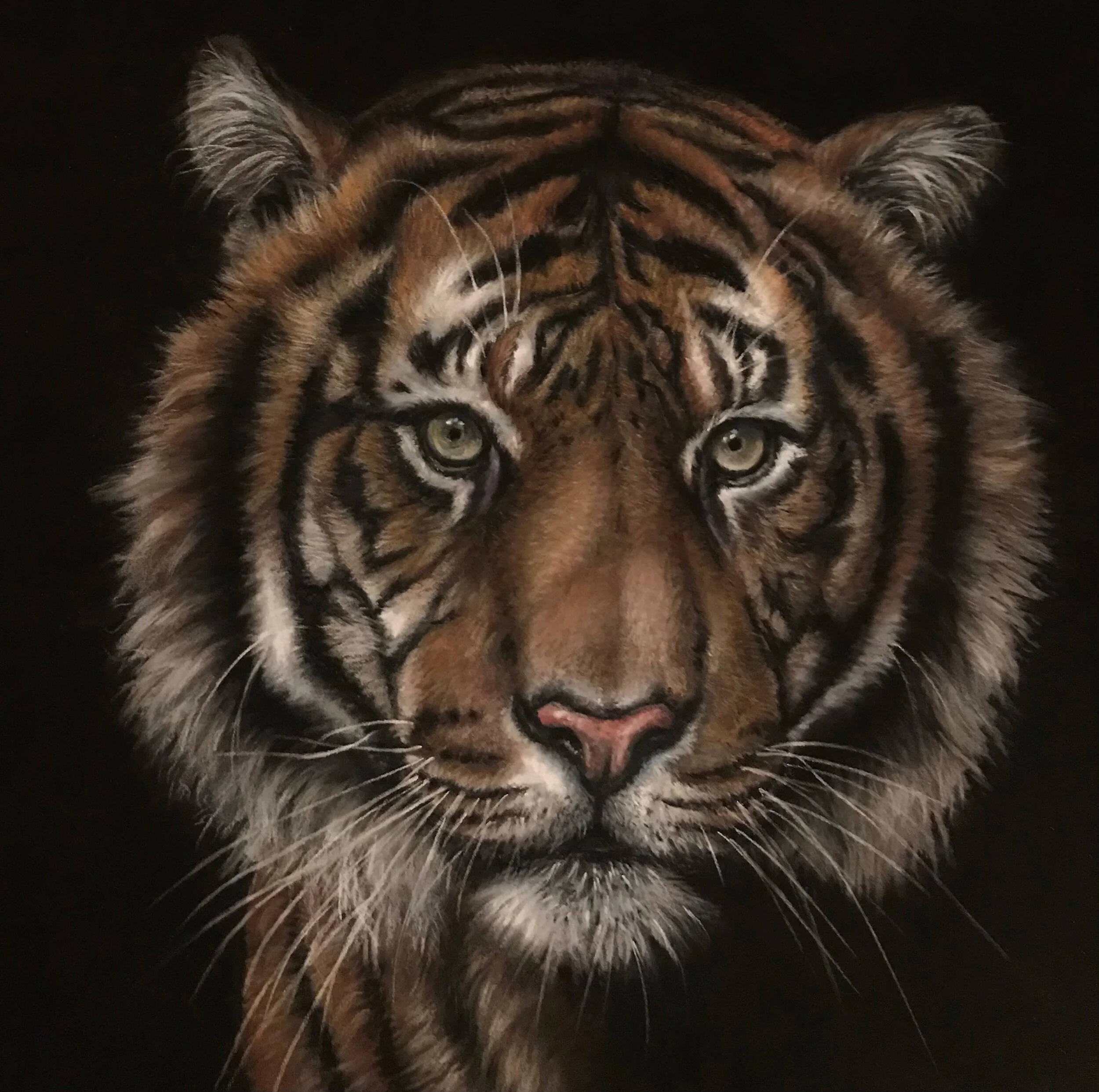 Portfolio Piece -Pastel 