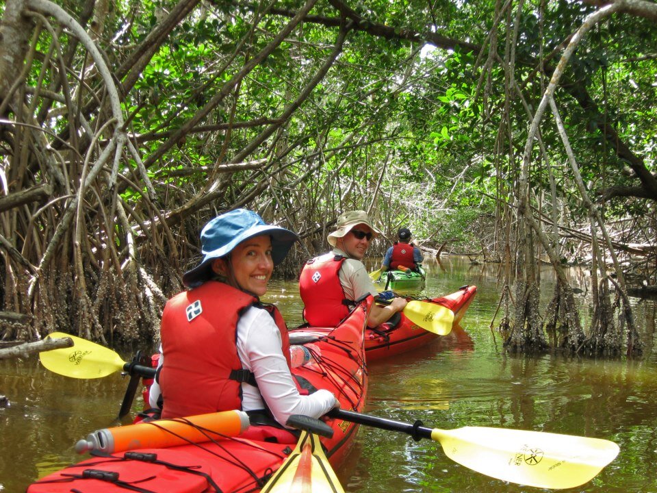 everglades by joel copy.jpg