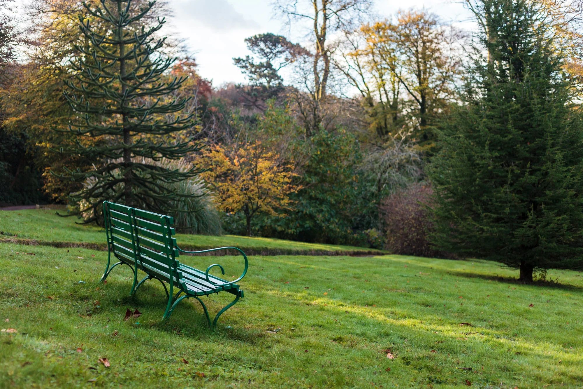 dansoleyphotography-lukesland-gardens-autumn-2018-1.jpg
