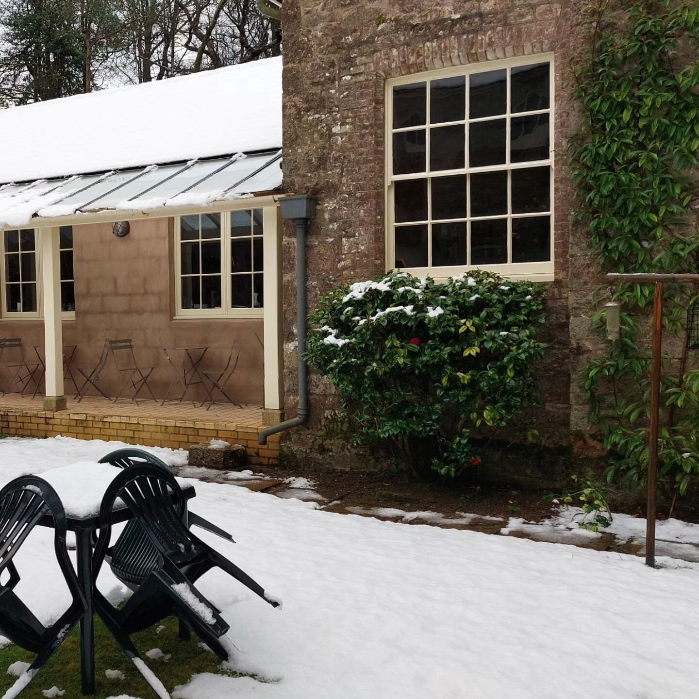 Crazy weather! After weeks of exceptionally mild temperatures, we suddenly get heavy snowfall. Luckily, rhododendrons are pretty tough.
The garden and tea room are open 11am to 5pm on Good Friday, Easter Sunday and Easter Monday, then on Wednesdays, 